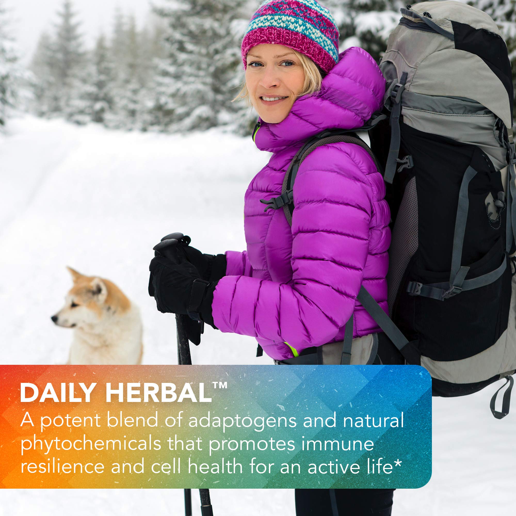 Vital Plan Daily Herbal Supplement by Dr. Bill Rawls – Herbal Immunity Booster for Immune Support, Microbiome Balance & Cell Health — Reishi Mushroom, Turmeric & Rhodiola Vital PlanAu supplements
