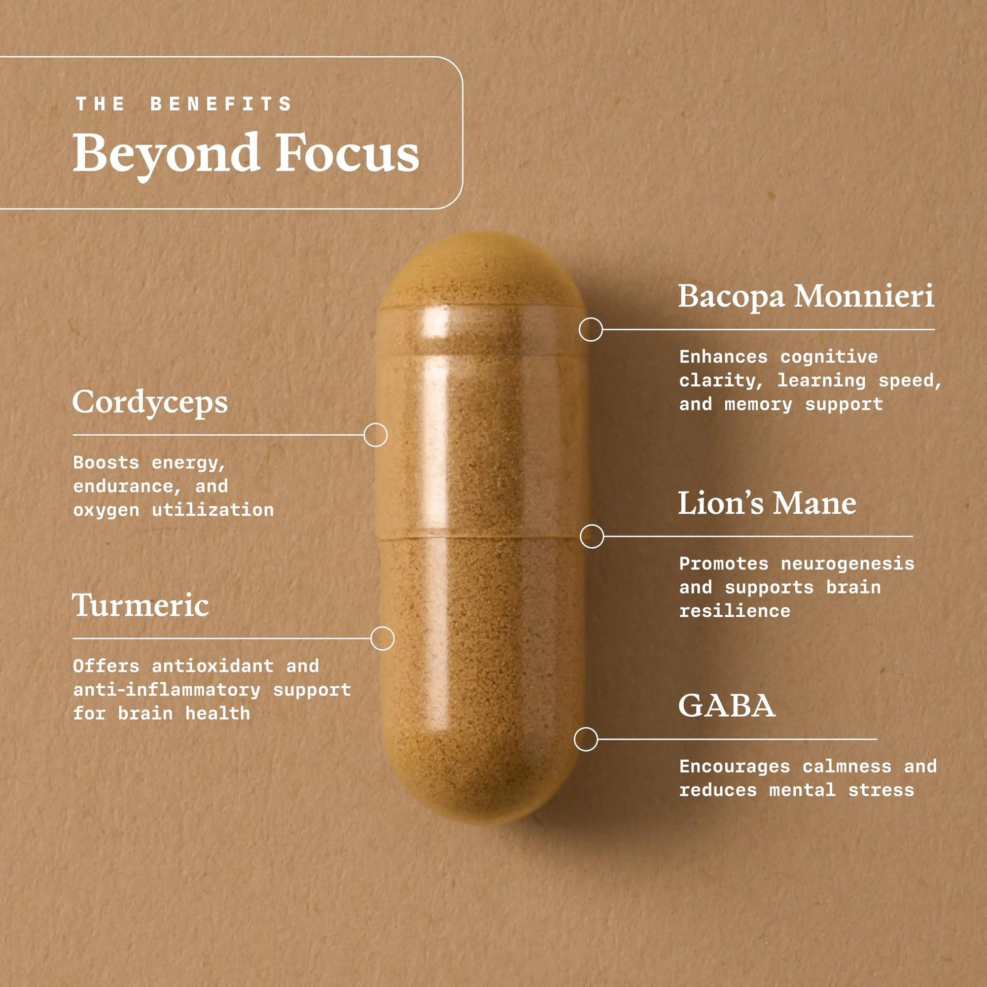 Ultra Life Sport - Beyond Focus Organic Mushroom Supplement - 30 Capsule Brain Supplements for Memory and Focus - 100% Vegan, Non-GMO - Memory Booster with Bacopa, Cordyceps, & Lion’s Mane Ultra Life Sportnz supplements