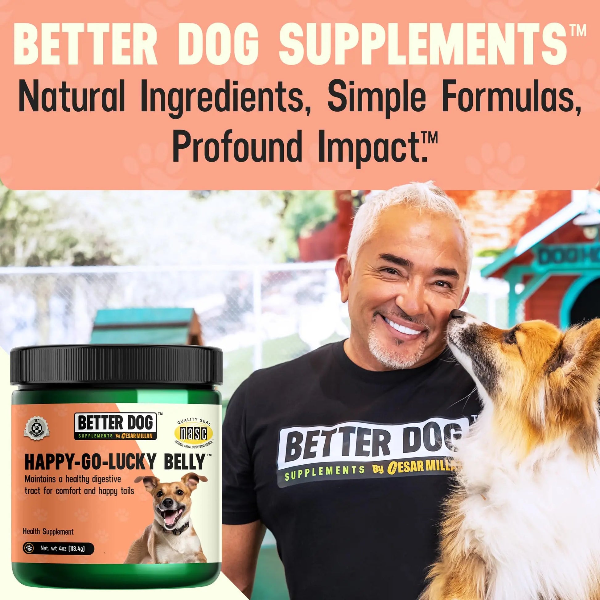 Better Dog Supplements Happy-Go-Lucky Belly by Cesar Millan - Natural Dog Digestive Support Powder – Dog Constipation Relief, Gut Balance & Regularity with Herbal Fiber for Dogs – 4oz (60-Day Supply) Better Dog Supplements By Cesar Millannz supplements