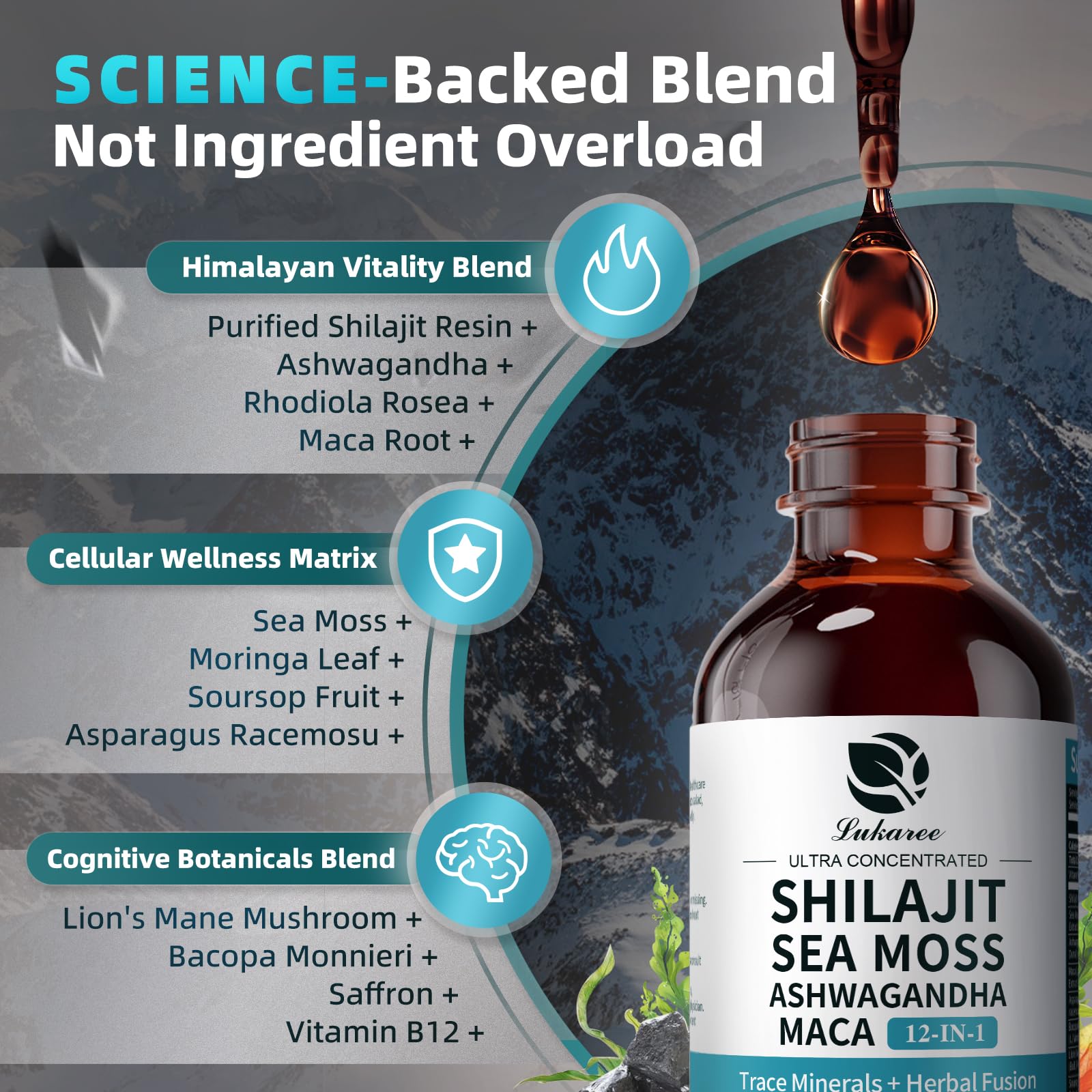 Shilajit Liquid Drops, 12-in-1 Complex - Sea Moss, Ashwagandha, Maca, Fulvic Acid, Trace Minerals, Liquid Vitamins Supplement for Men and Women, Energy, Antioxidant, Immune Support, 60ML/2 FL Oz LukareeAu supplements