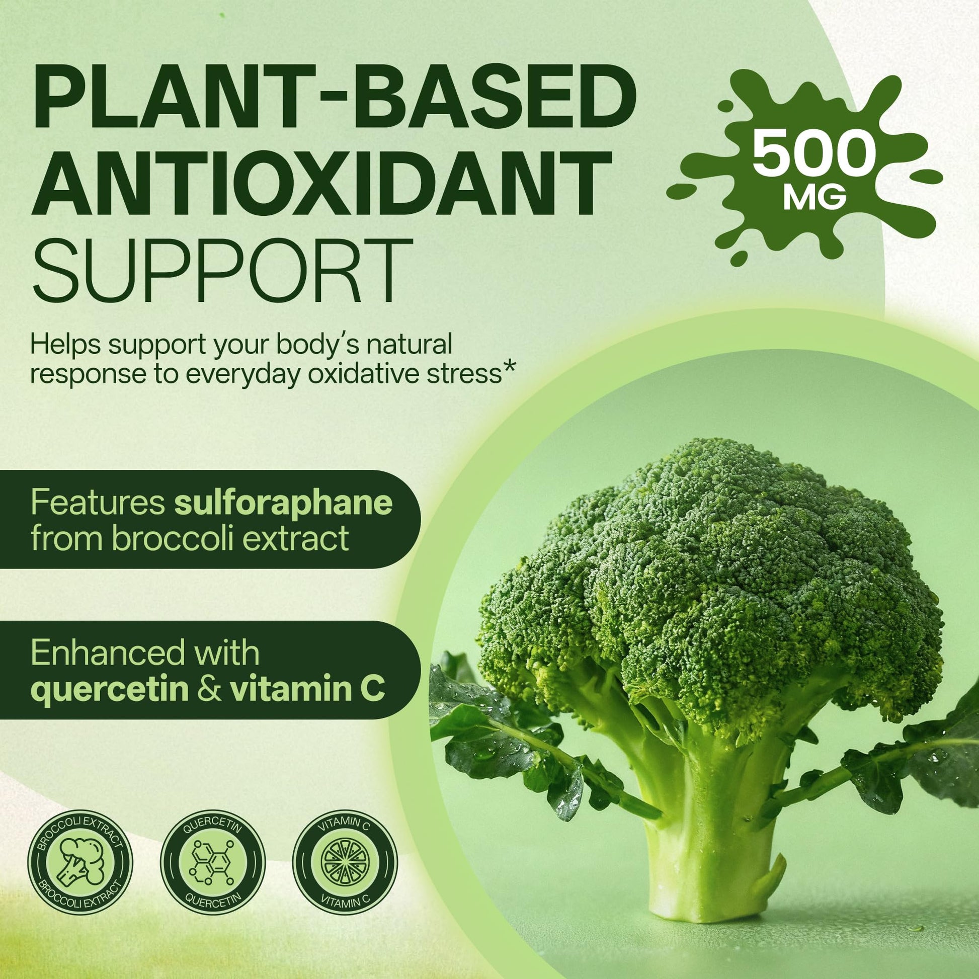 Liposomal Sulforaphane 500mg Supplement from Broccoli Extract with Quercetin, Black Pepper & Vitamin C – Antioxidant, Detox & Cellular Support, Cellular Health Formula for Men & Women, 60 Capsules inGreensAu supplements