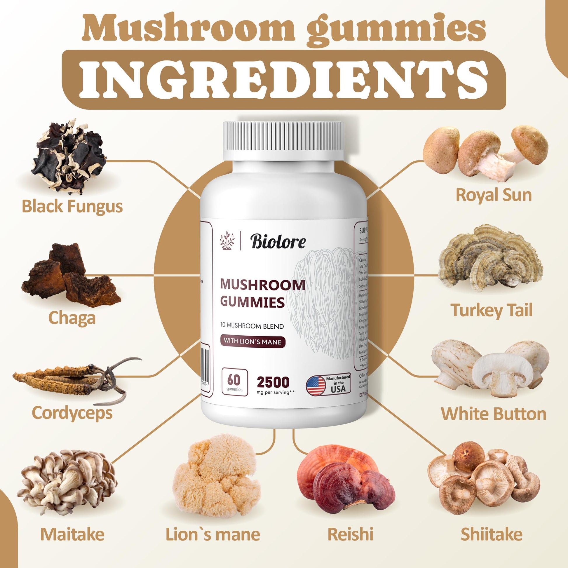 Biolore Mushroom Complex Gummies: 10 Powerful Mushrooms with Chaga, Lions Mane BioloreAu supplements