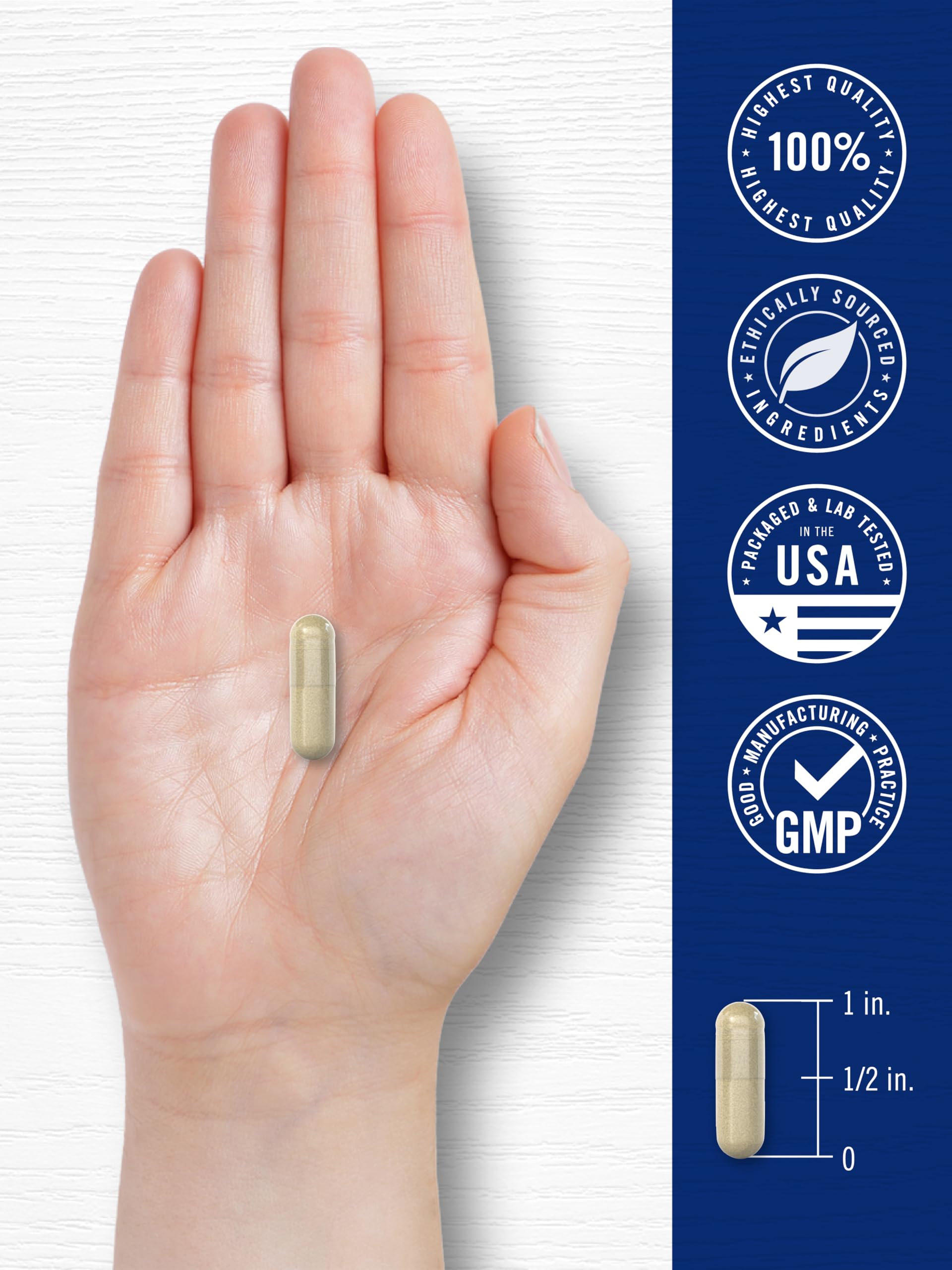 Carlyle Cortisol Supplement | 60 Vegan Capsules | Ashwagandha & Magnesium Complex | Non-GMO, Gluten Free CarlyleAu supplements