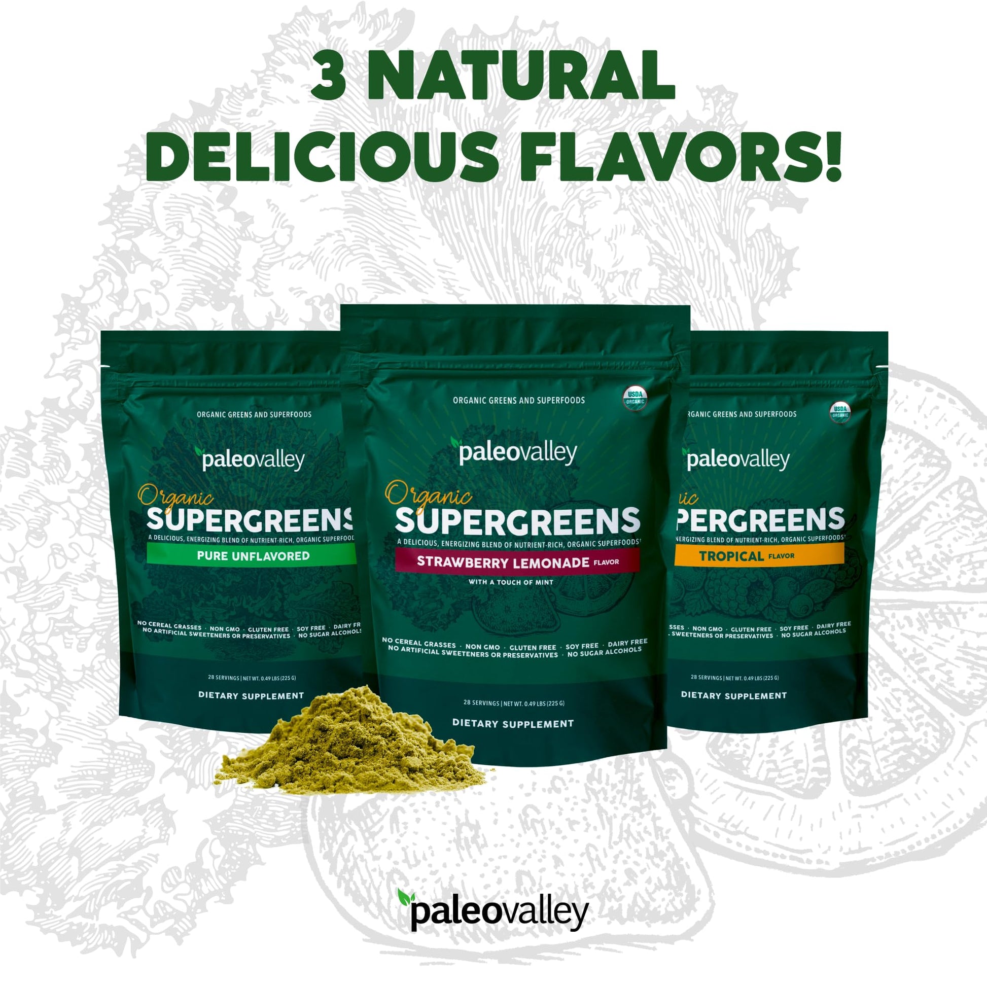Paleovalley Organic Supergreens - Organic Greens Powder Superfood for Immune Support - Paleo Green Powder Blend - 28 Servings - 23 Superfoods - Gluten Free, No Cereal Grasses, Soy or Grain PaleovalleyUS supplements