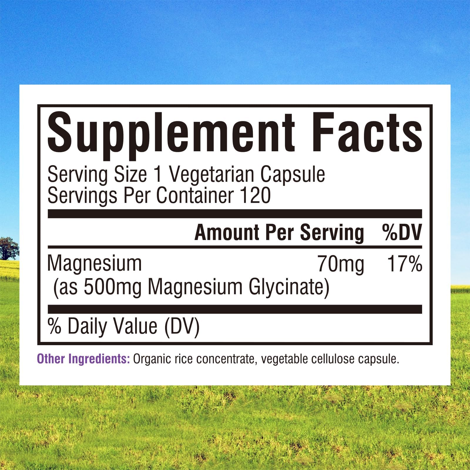 Innate Vitality Magnesium Glycinate 500mg | 70mg Elemental Magnesium Supplement - High Absorption, Non Buffered, Non-GMO & No Gluten - Vegan - Nerve Health - 120 Capsules (Pack of 1) Innate VitalityAu supplements