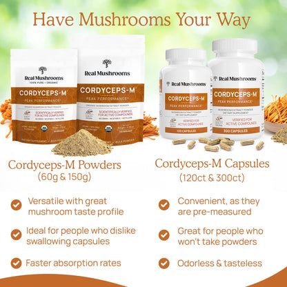 Real Mushrooms Cordyceps Capsules - Performance Mushroom Extract Supplement Real MushroomsUS supplements