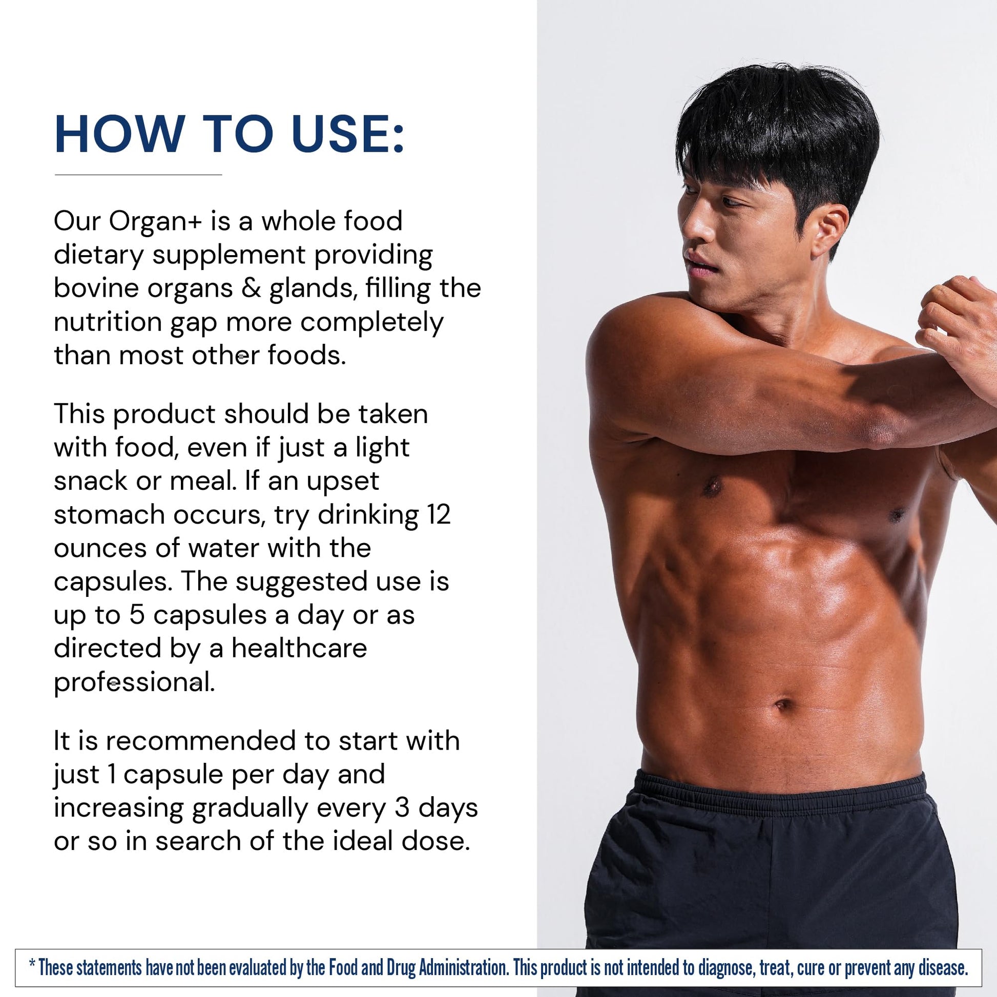 BodyHealth Organ+ Grass-Fed Glandular Organ Complex, Grassfed Beef Organ Supplement, Dessicated Beef Liver, Heart, Kidney, Pancreas, Spleen, Non GMO, Adrenal, Supplement, (150 Capsules) BodyHealthAu supplements
