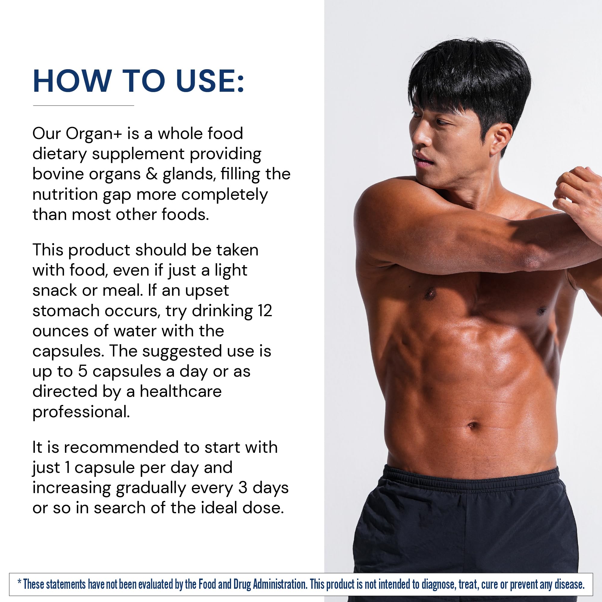 BodyHealth Organ+ Grass-Fed Glandular Organ Complex, Grassfed Beef Organ Supplement, Dessicated Beef Liver, Heart, Kidney, Pancreas, Spleen, Non GMO, Adrenal, Supplement, (150 Capsules) BodyHealthAu supplements