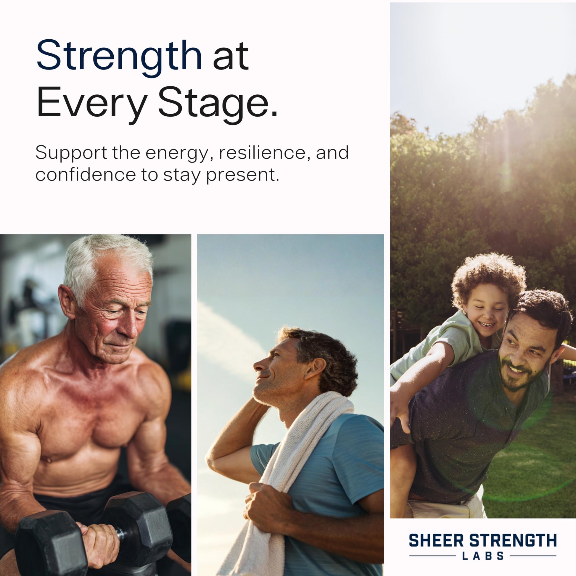 Testosterone Booster for Men - Sheer Alpha T-Booster - Clinically Backed Dose, Strongest Formula - Made in USA - Premium Blend of Fadogia Agrestis Tongkat Ali and Shilajit. 30 Servings Sheer Strength LabsAu supplements