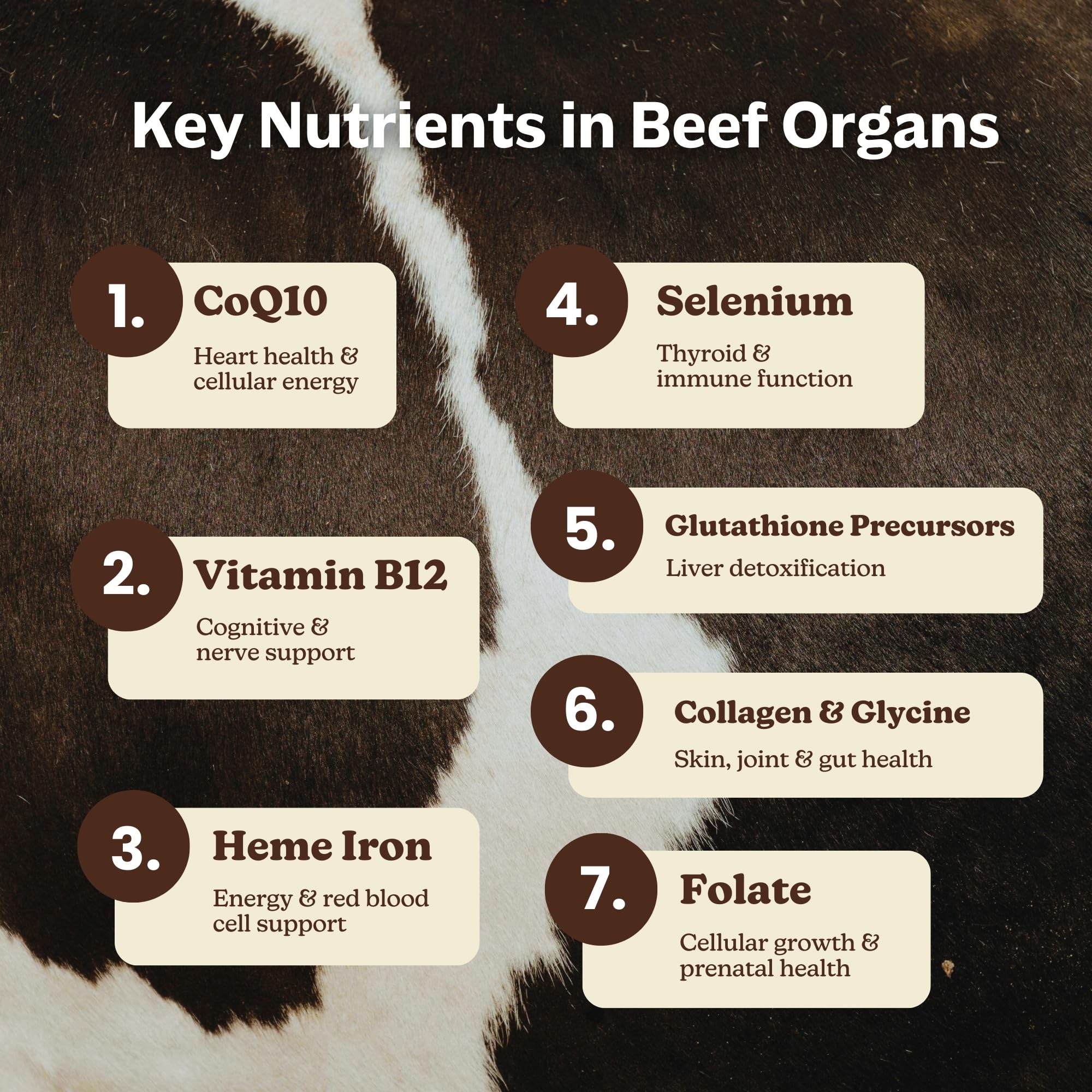 MK Supplements Grass-Fed Beef Organs Capsules | 5 Organs in Nature-Identical Ratios | B12, Copper & Heme Iron | Regeneratively Raised | 150 Capsules MK SupplementsAu supplements