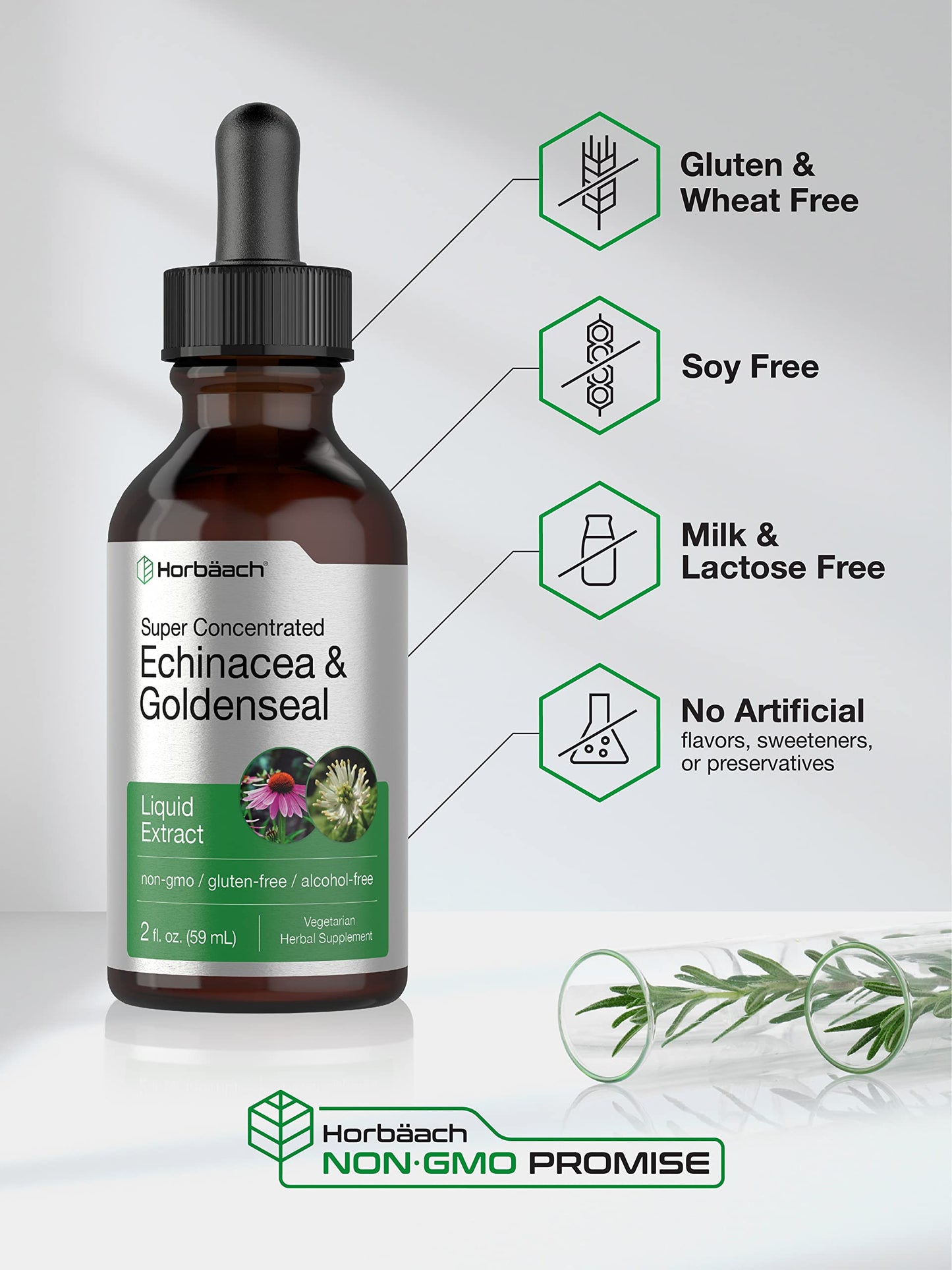 Echinacea Goldenseal Liquid Extract | 2 fl oz | Alcohol Free Tincture Drops | Vegetarian HorbäachUS supplements