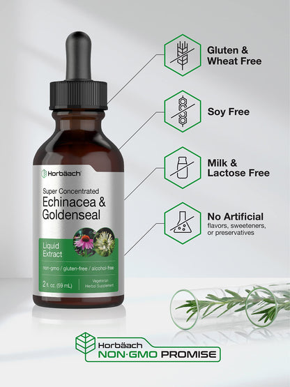 Echinacea Goldenseal Liquid Extract | 2 fl oz | Alcohol Free Tincture Drops | Vegetarian HorbäachUS supplements
