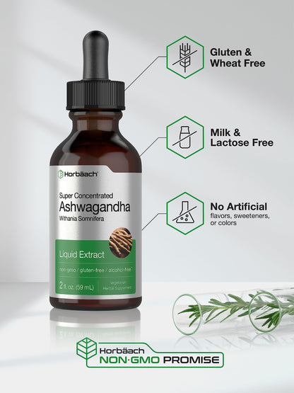 Ashwagandha Root Liquid Extract | 2 fl oz | Alcohol Free Tincture | Vegetarian, Non-GMO, Gluten Free Supplement | by Horbaach HorbäachUS supplements