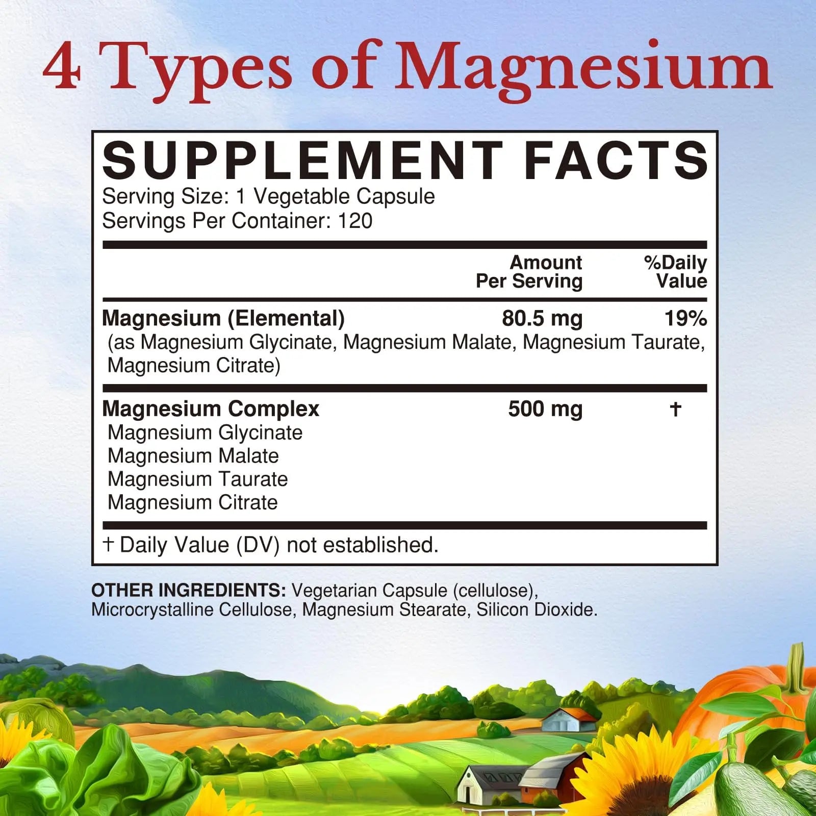 Vitalitown Magnesium Complex Supplement 500mg - NSF Certified Magnesium Glycinate, Malate, Taurate & Citrate - Chelated High Absorption & Gentle on Stomach - Vegan Non-GMO 120 Capsules VITALITOWNnz supplements