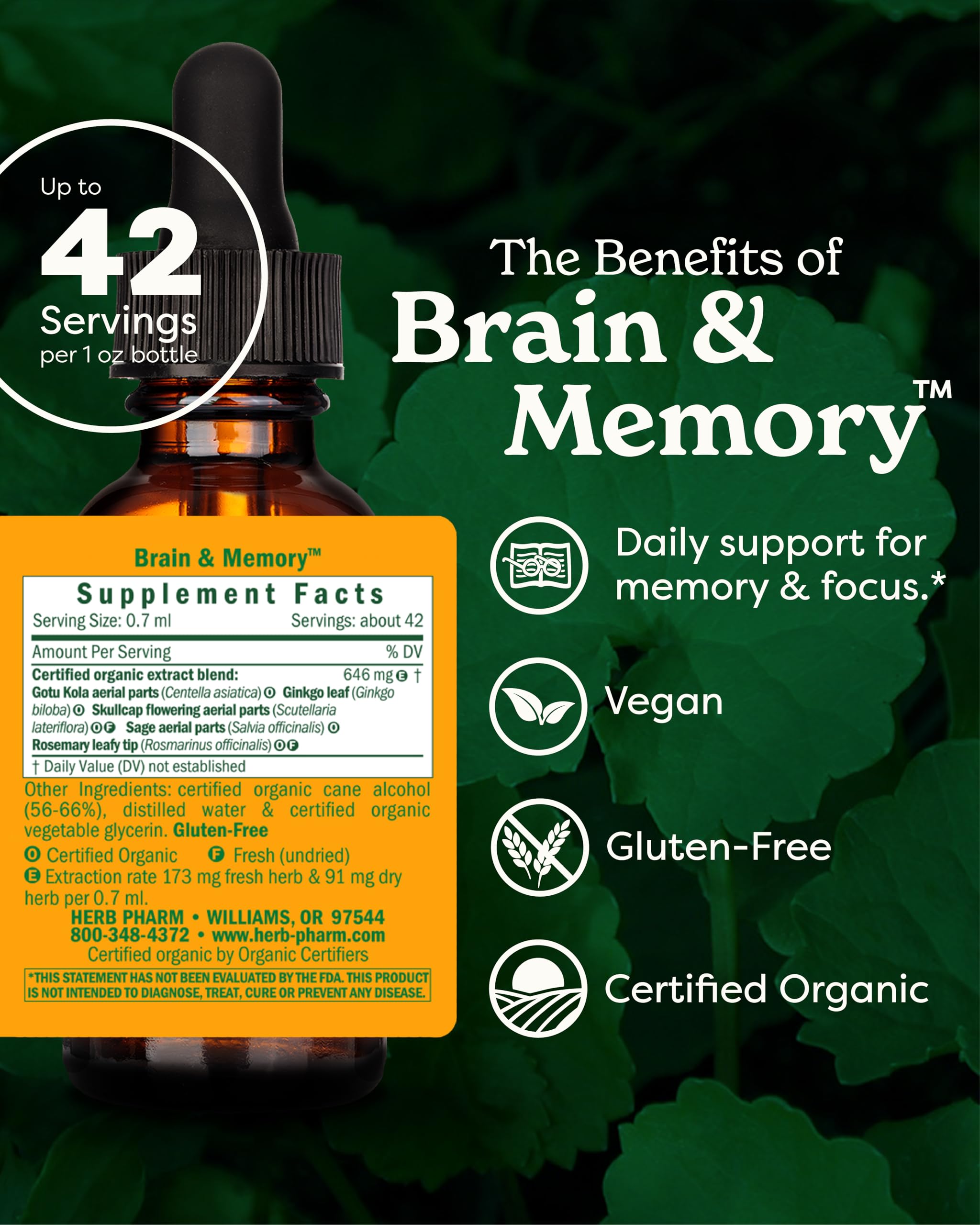 Herb Pharm Organic Nootropic Brain & Memory Supplement with Ginkgo Biloba Liquid Extract: Fast Absorption for Mental Focus Support, Ginkgo Supplement, Vegan, Gluten-Free, Non-GMO, 1 Oz Herb PharmAu supplements