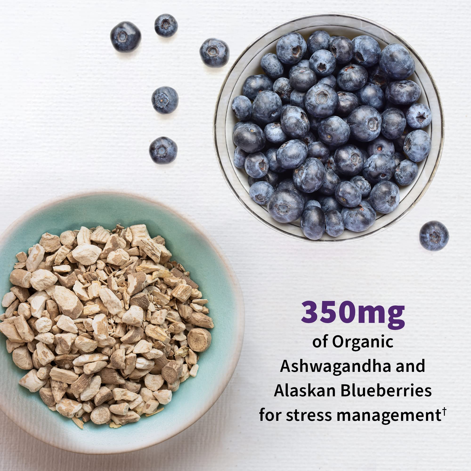 Garden of Life Probiotics Mood+ Dr Formulated Acidophilus Probiotic Supplement - Promotes Emotional Well-Being, Relaxation and Digestive Balance - Ashwagandha for Stress Management, 60 Veggie Caps Garden of LifeAu supplements