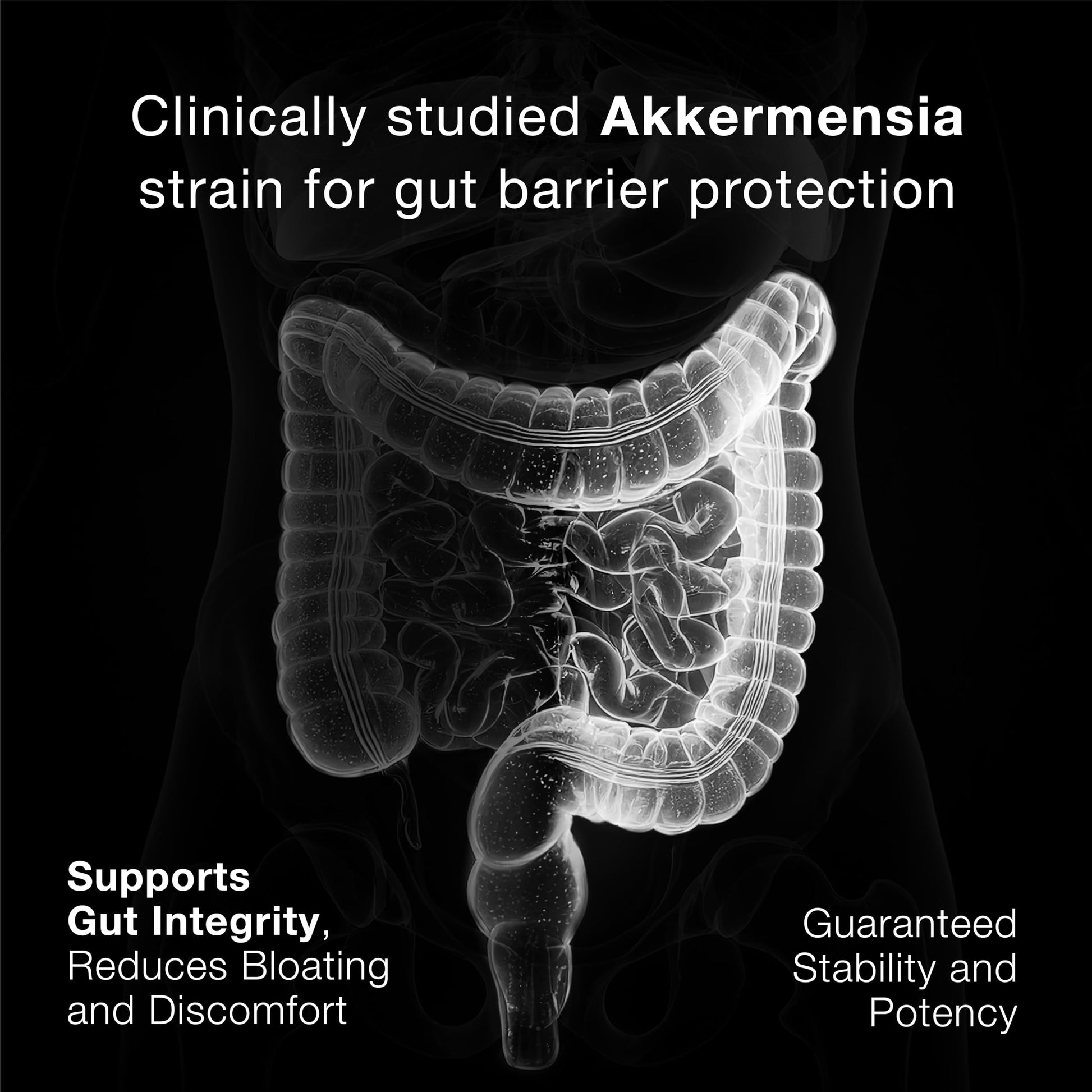 Toniiq Akkermansia Probiotic – 10 Billion TFU – Supports Gut Health & GLP-1 Activity ToniiqAu supplements
