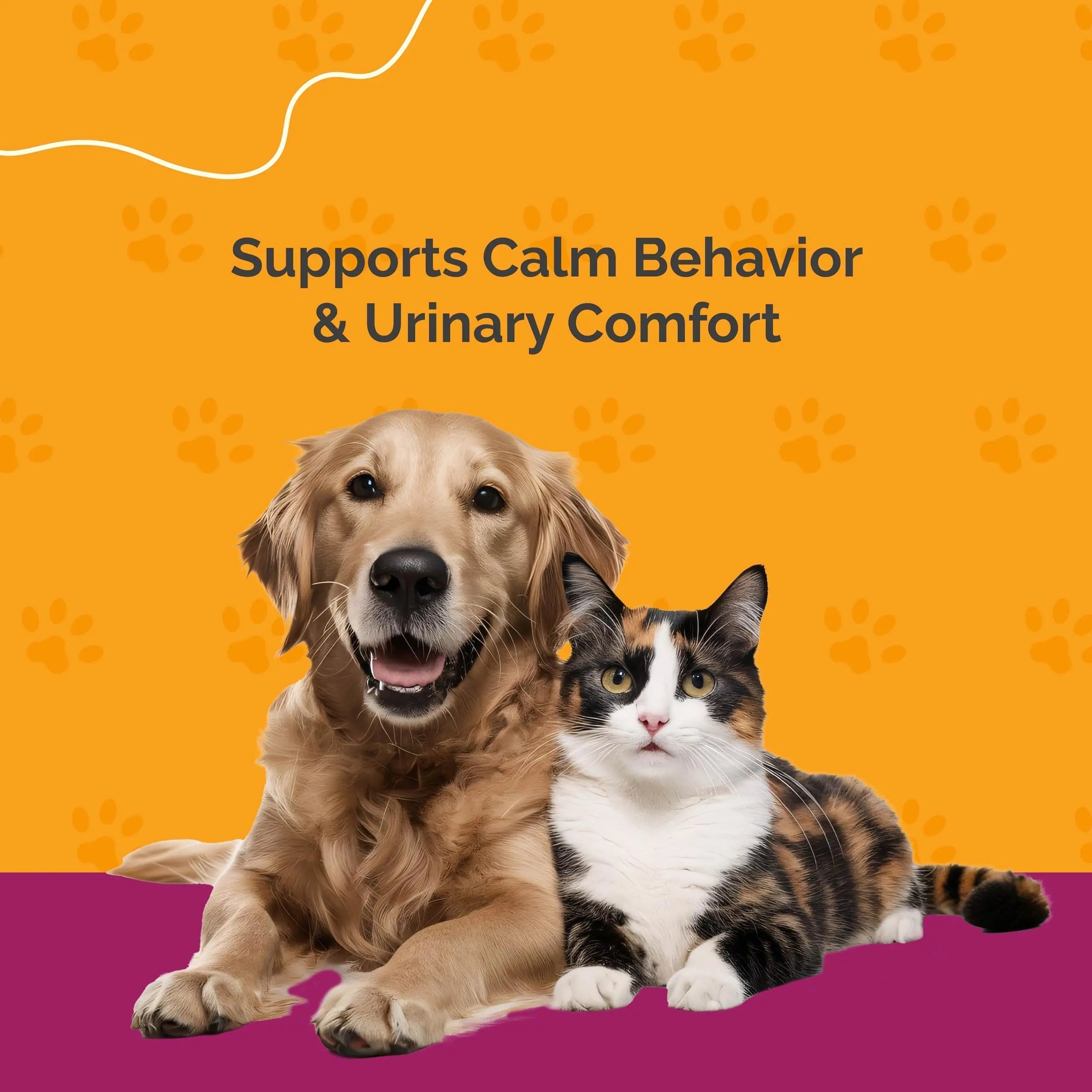 PureCat Urinary Tract Infection Care for Cat & Dog | Calming Urinary Tract & Kidney Support for Pets | Bladder Infection Treatment | UTI Drops | Veterinarian Recommended PureCatAu supplements