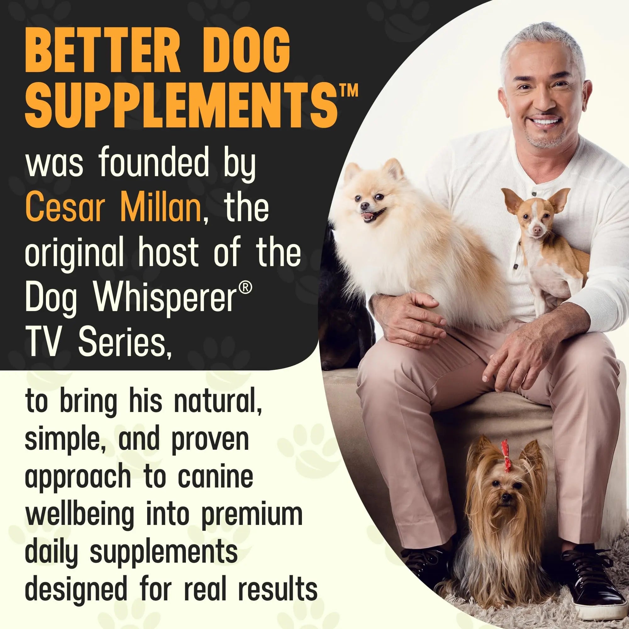 Better Dog Supplements Happy-Go-Lucky Belly by Cesar Millan - Natural Dog Digestive Support Powder – Dog Constipation Relief, Gut Balance & Regularity with Herbal Fiber for Dogs – 4oz (60-Day Supply) Better Dog Supplements By Cesar Millannz supplements