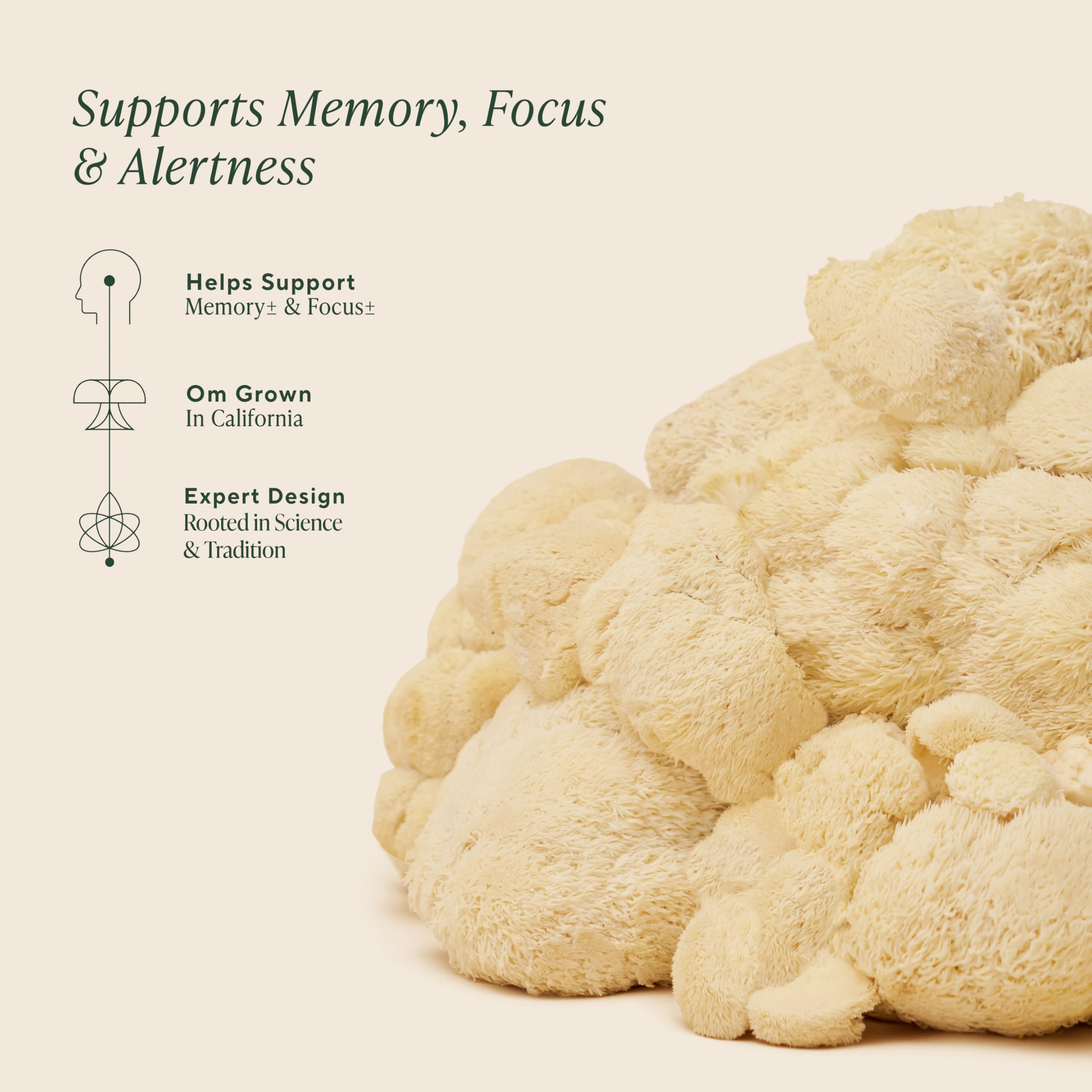 Om Lion’s Mane Mushroom Capsules - Organic Mushroom Supplement and Nootropic - Brain Supplements for Memory and Focus, 180 Count (60 Servings) OM MUSHROOM SUPERFOODAu supplements