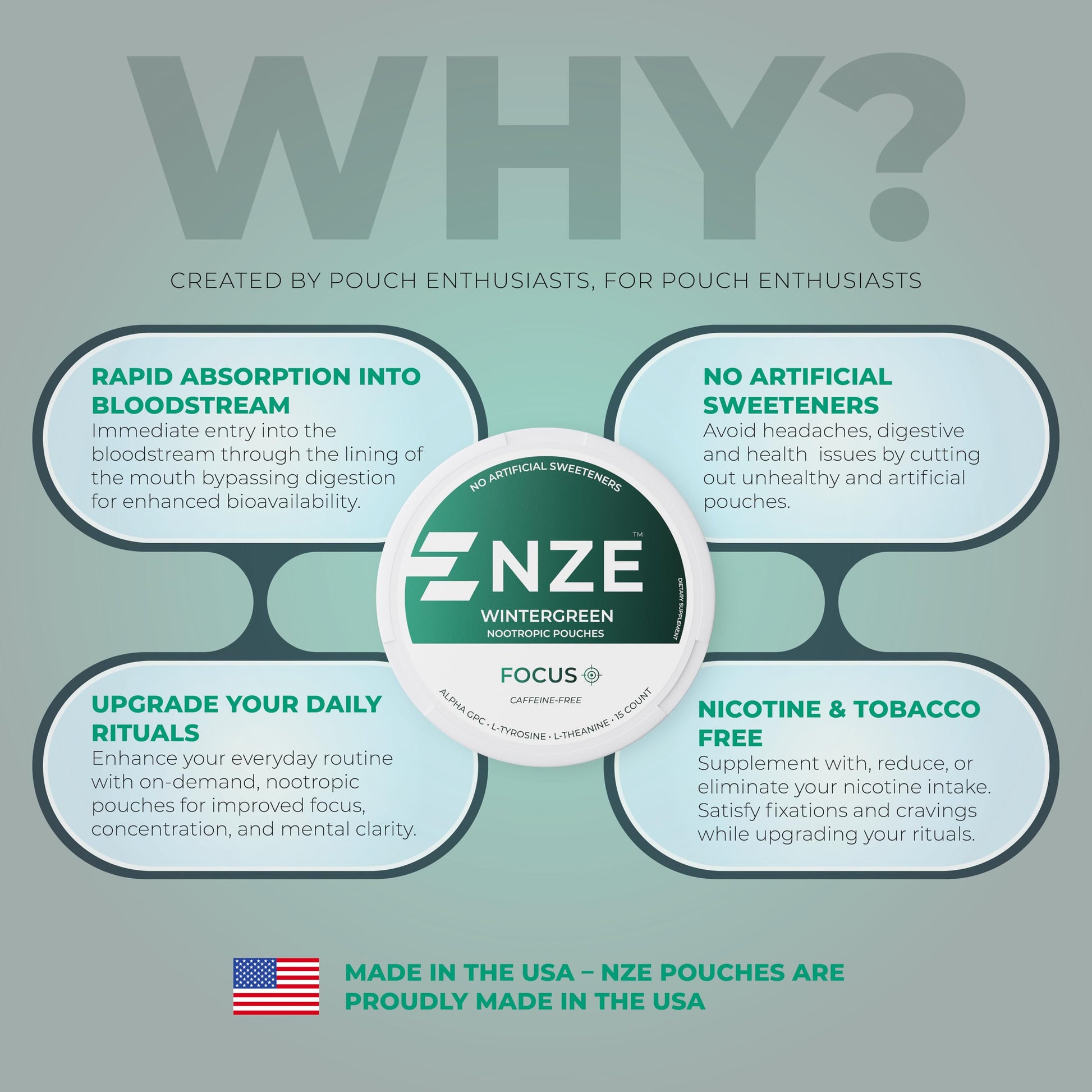 NZE Caffeine Free Nootropic Pouches (Wintergreen) - Nootropic Pouches with Alpha GPC, L-Tyrosine & L-Theanine - No Sugar or Artificial Sweeteners - 15 Pouches Per Can - 5 Pack NZEAu supplements