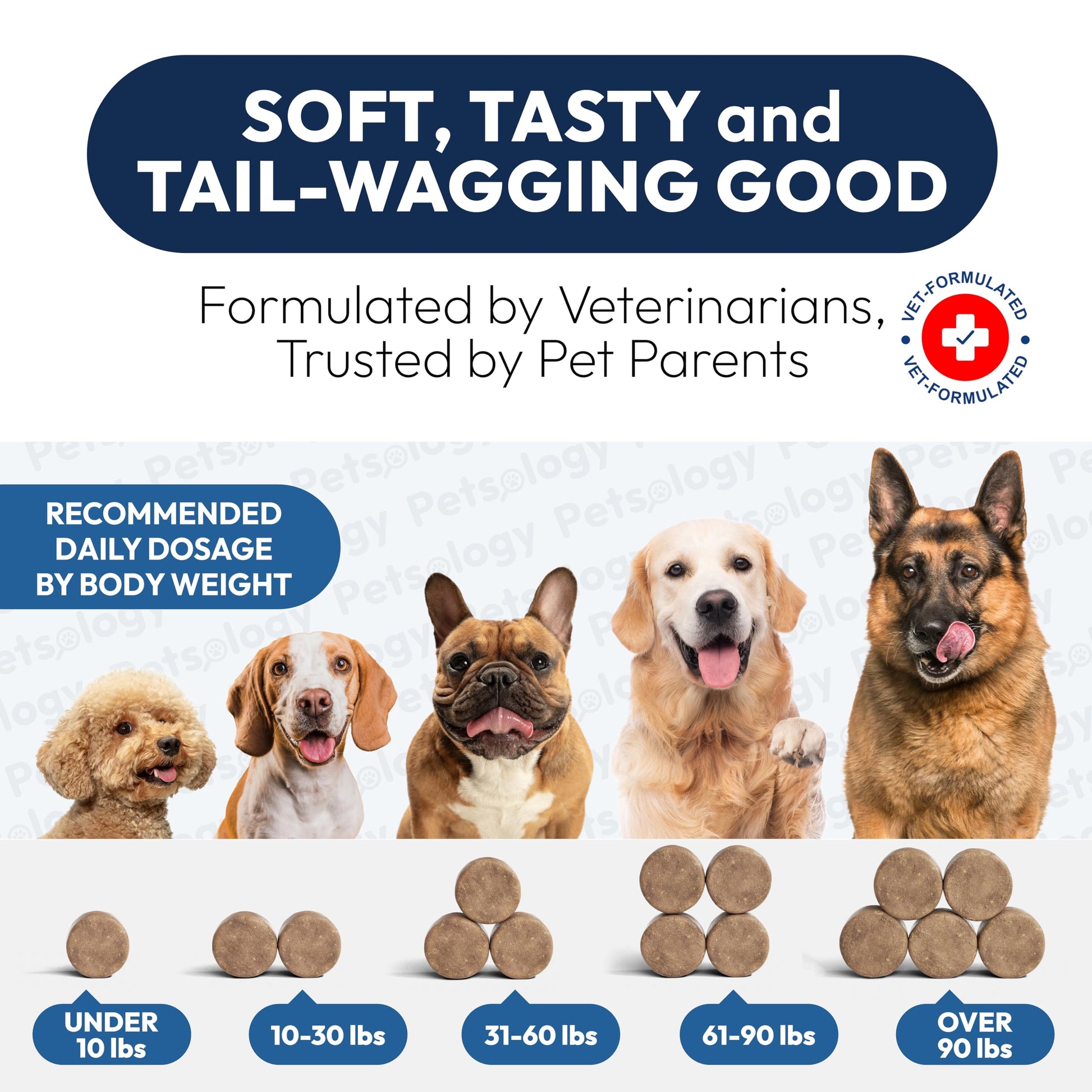 Probiotics for Dogs - 170 Dog Probiotics Chews - Digestive Enzymes & Prebiotics - Support Gut Health, Diarrhea, Gas & Constipation Relief - Itchy Skin, Allergies, Yeast Balance - Advanced Supplement PetsologyAu supplements