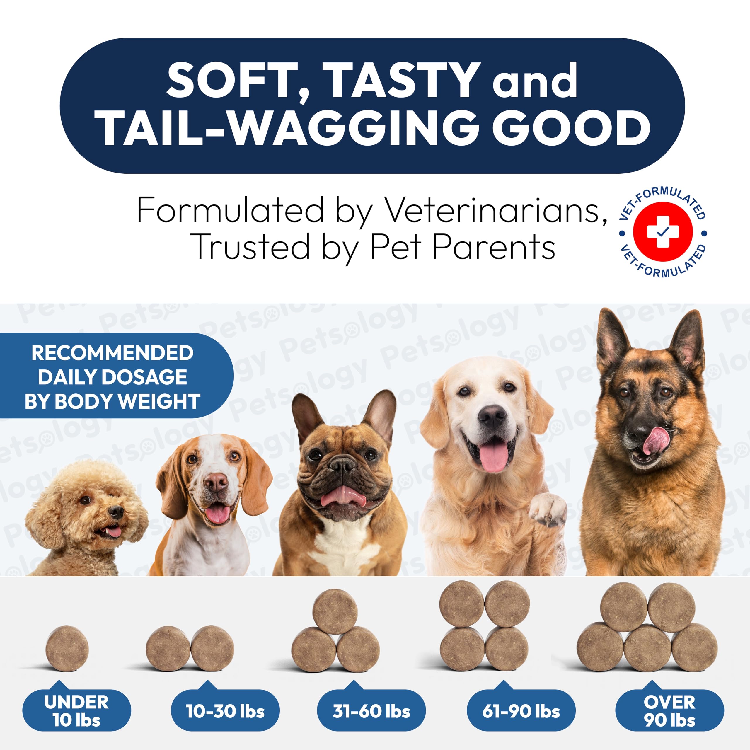 Probiotics for Dogs - 170 Dog Probiotics Chews - Digestive Enzymes & Prebiotics - Support Gut Health, Diarrhea, Gas & Constipation Relief - Itchy Skin, Allergies, Yeast Balance - Advanced Supplement PetsologyAu supplements