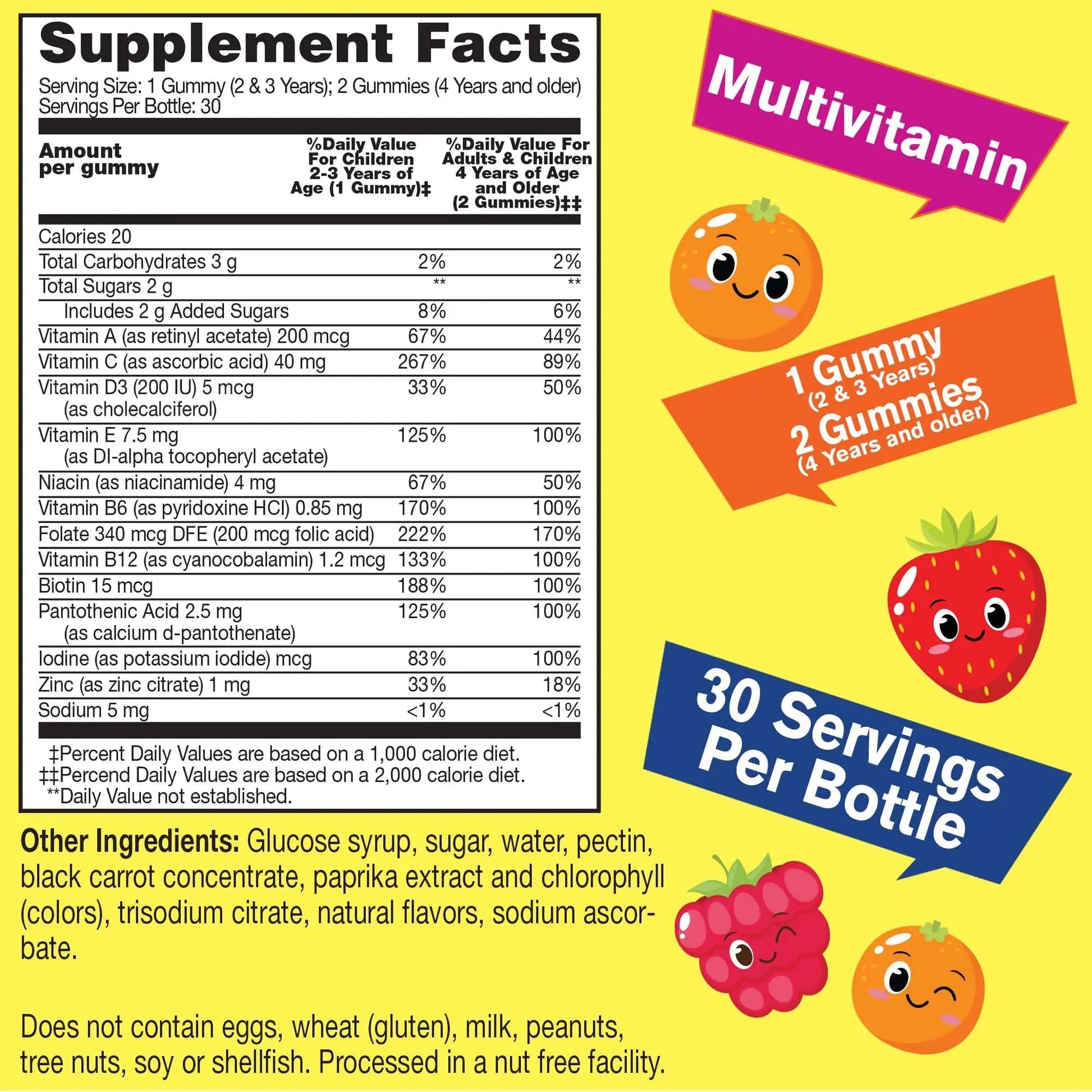 WellYeah Kids Multivitamin Gummies | Vitamin C, D3, E, A, B6, B12, Biotin, Zinc, Folic Acid, Iodine, and Niacin | Immune and Energy Support WellYeahAu supplements