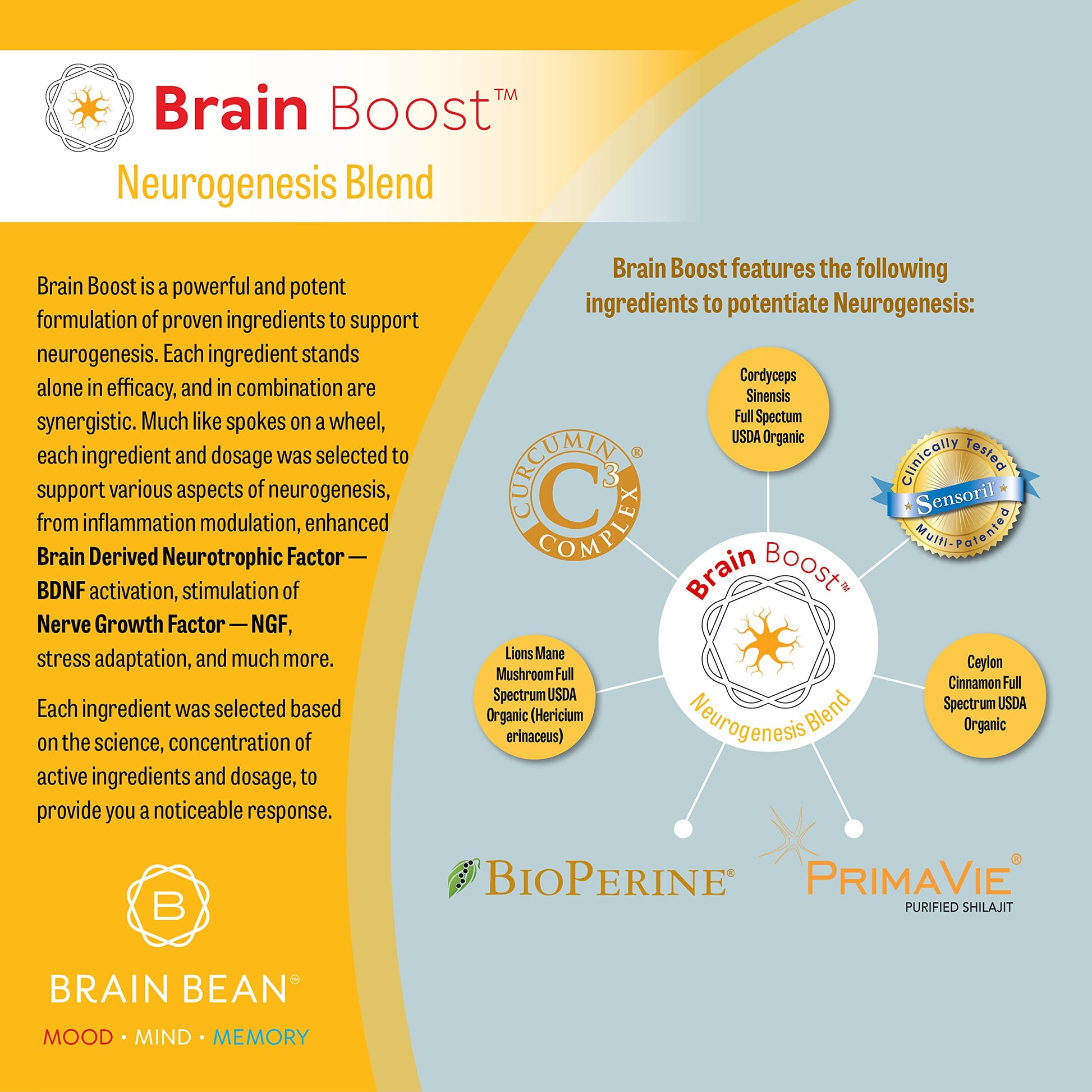 Brain Bean Brain-Boost (Formerly Brain BeanAu supplements