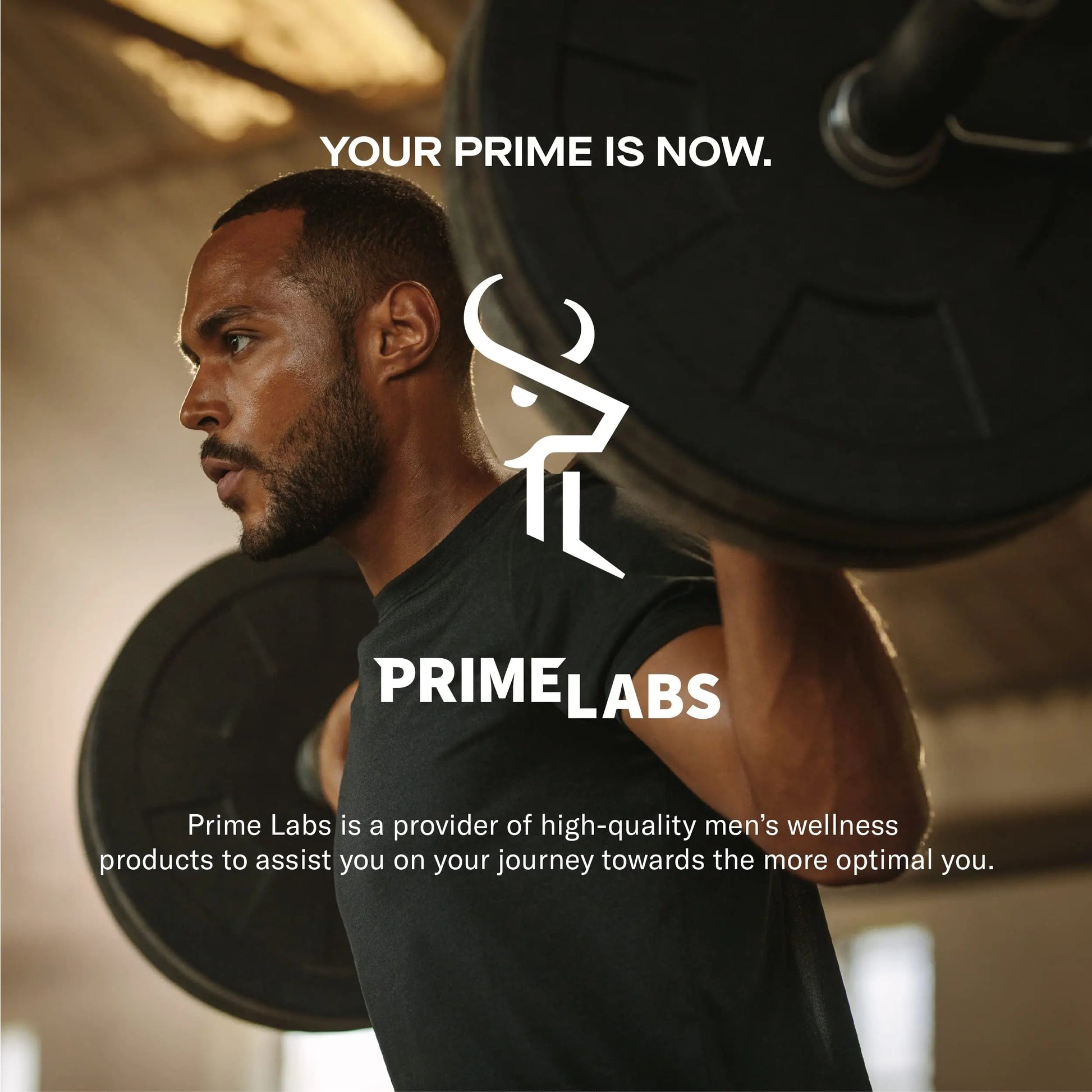 Prime Labs Night Duty - Nighttime Testosterone Booster & Sleep Support - PM Rest & Muscle Recovery Supplements - 60 Count Prime LabsAu supplements