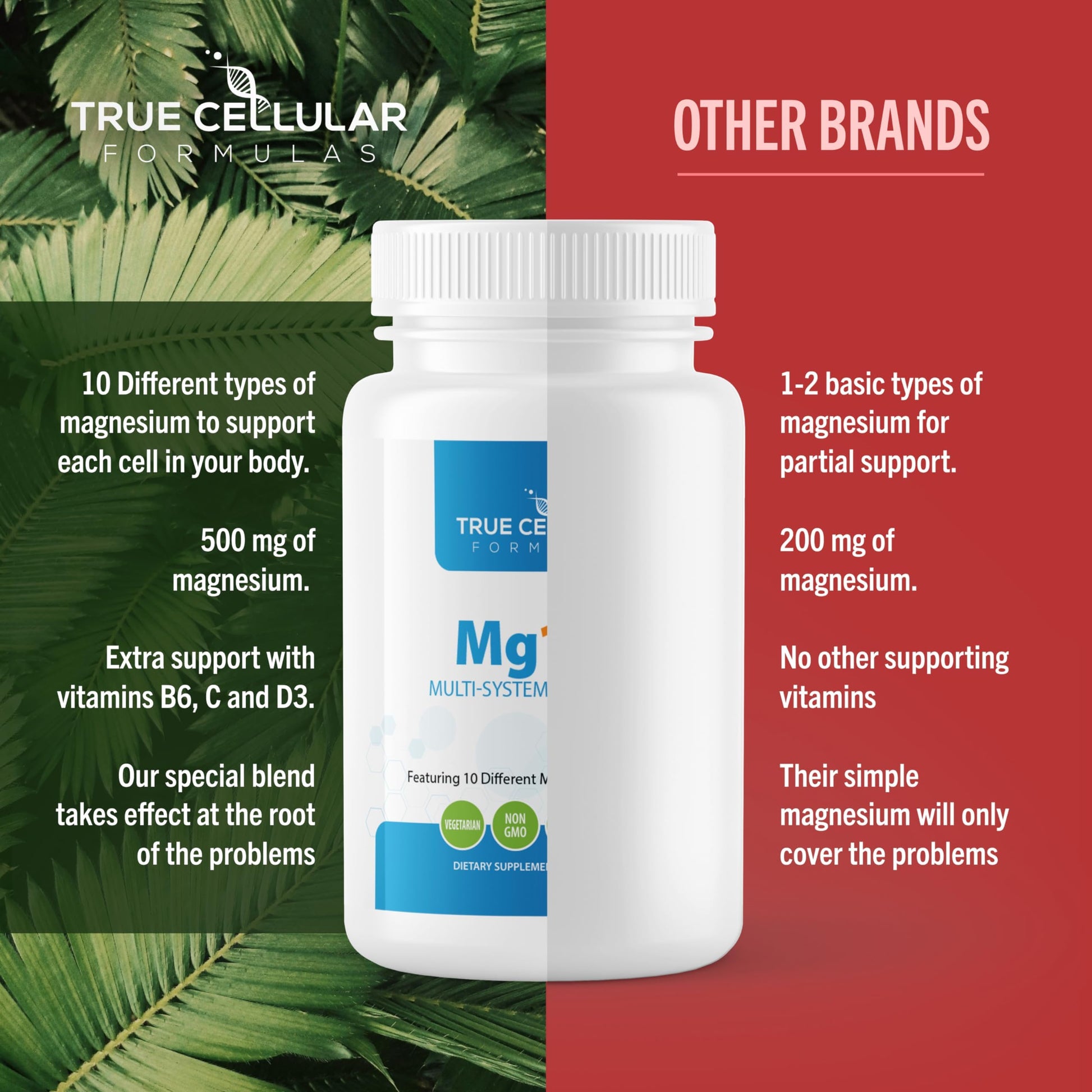 True Cellular Formulas Mg10X Multi-System Magnesium | Supplement to Support Sleep - 60 Capsules | Enhanced Sleep, Immune System & Metabolic Support | Includes Magnesium Glycinate, Citrate and More True Cellular FormulasAu supplements