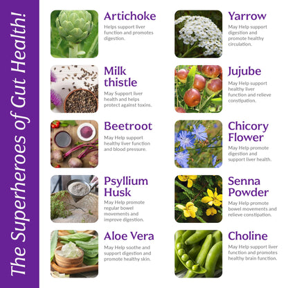 Liver Cleanse Detox & Repair with Colon Cleanse - Milk Thistle, Dandelion Root, Psyllium Husk Fiber NutrebUS supplements