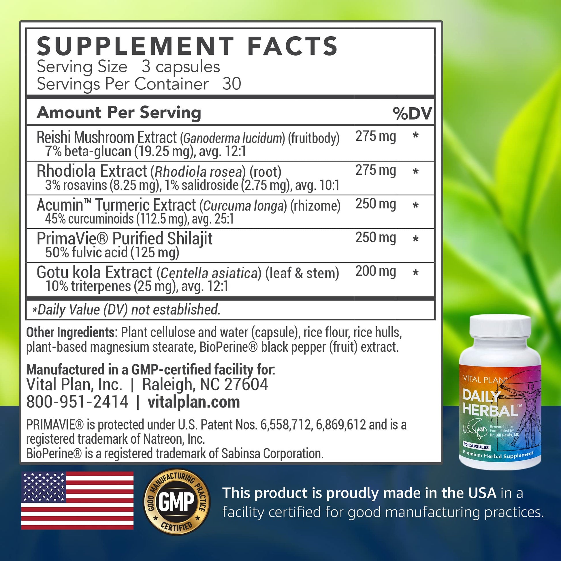 Vital Plan Daily Herbal Supplement by Dr. Bill Rawls – Herbal Immunity Booster for Immune Support, Microbiome Balance & Cell Health — Reishi Mushroom, Turmeric & Rhodiola Vital PlanAu supplements
