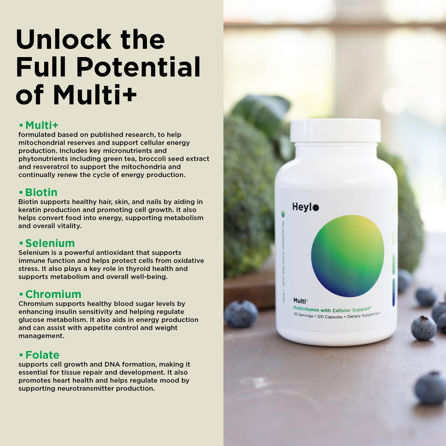 Heylo Multi+ Advanced Multivitamin Supplement – Boosts Energy, Enhances Immune Support, Provides Antioxidant Protection, Promotes Detoxification Heylo HealthUS supplements