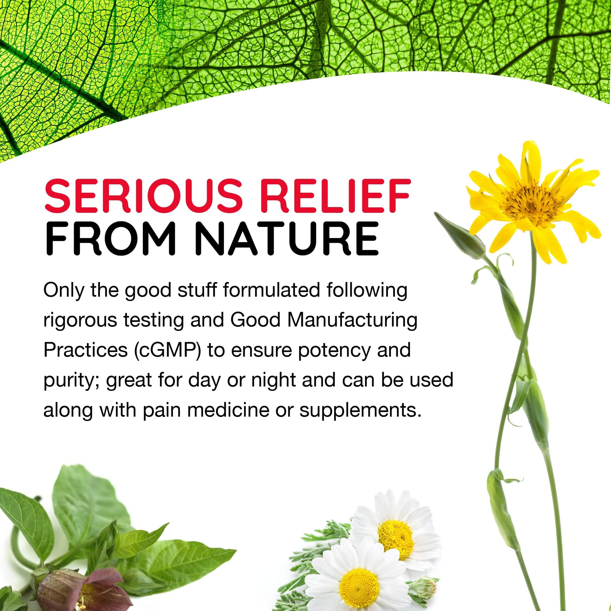 T-Relief Arnica +12 Cream Natural Actives for Back Pain Joint Soreness Muscle Aches & Stiffness, Whole Body Fast Acting Relief for Women & Men - 4 oz MediNaturaAu supplements