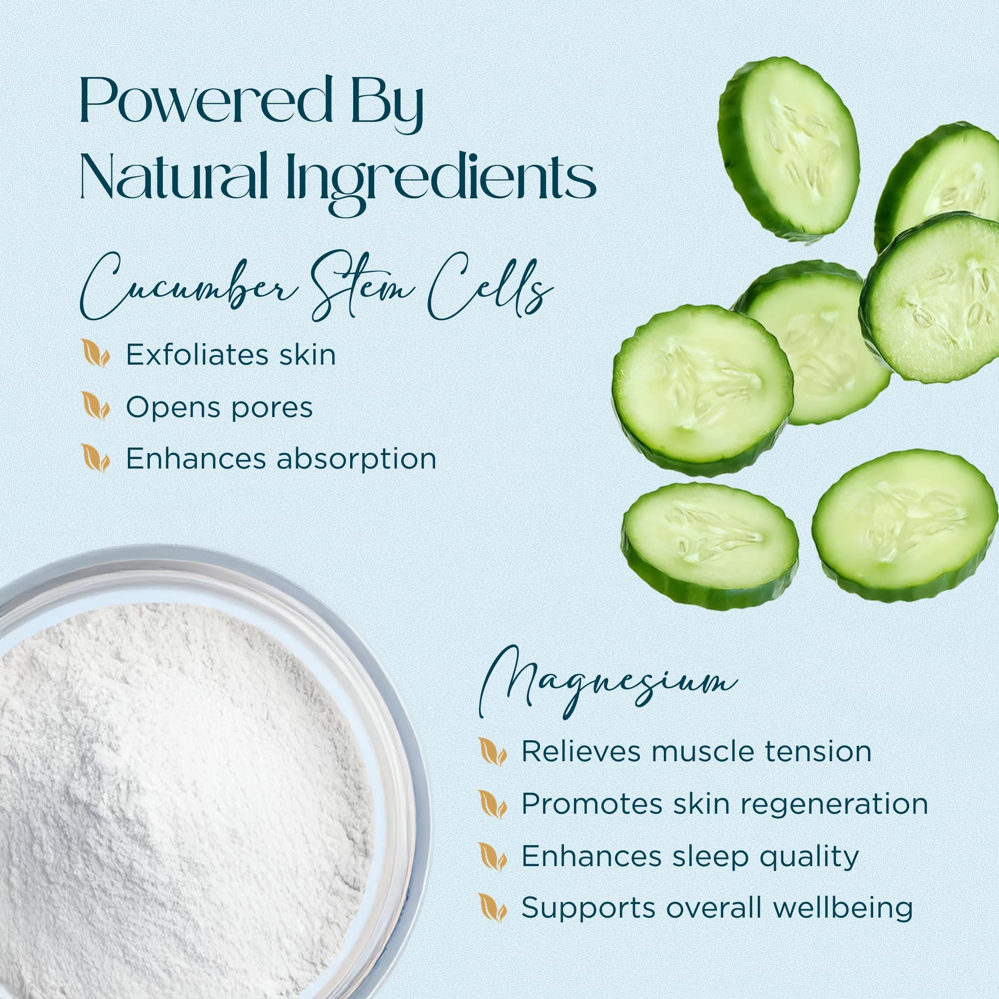 Abundant Natural Health MAG I.C. Magnesium Gel with Cucumber Stem Cells - Fast Muscle Relief, Soothing, Stingless, Safe for Sensitive Skin, Fragrance-Free, 200mL Abundant Natural HealthAu supplements