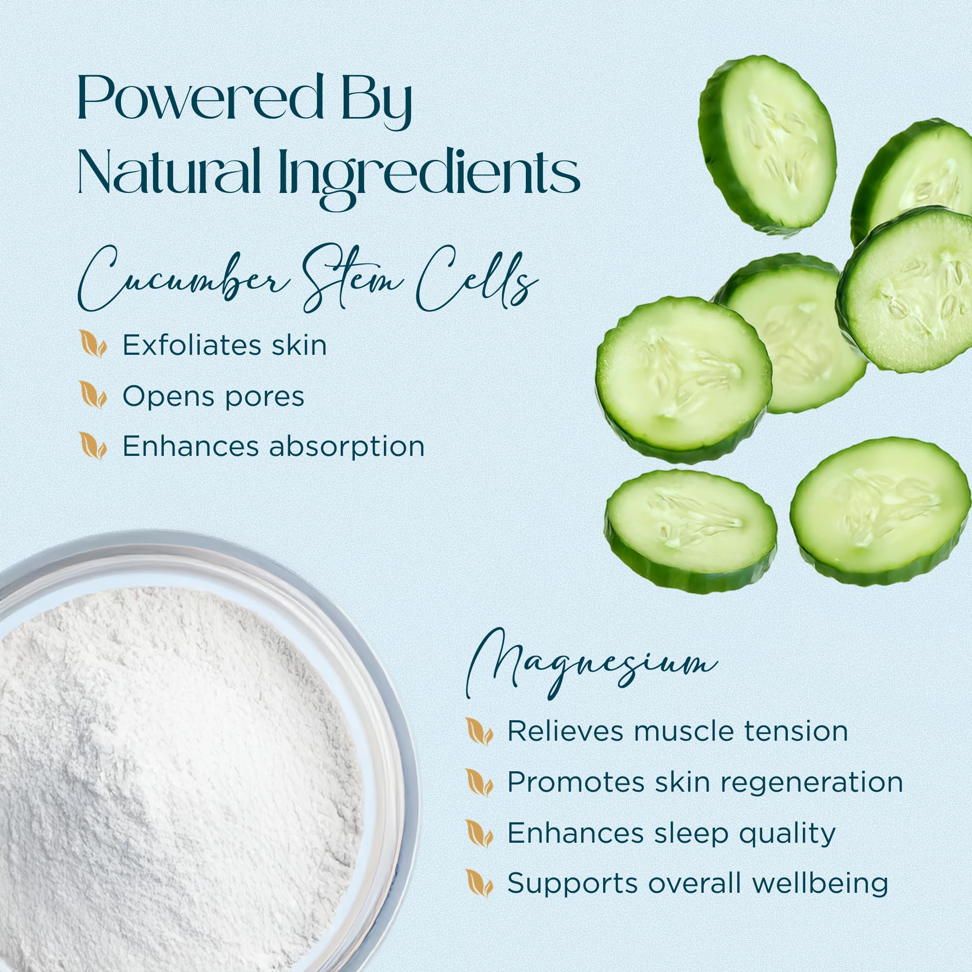 Abundant Natural Health MAG I.C. Magnesium Gel with Cucumber Stem Cells - Fast Muscle Relief, Soothing, Stingless, Safe for Sensitive Skin, Fragrance-Free, 200mL Abundant Natural HealthAu supplements