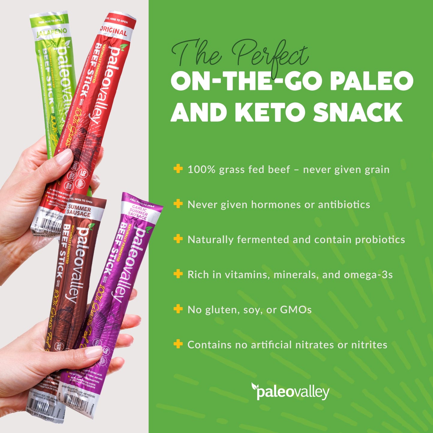 Paleovalley 100% Grass Fed Beef Sticks - Delicious Gluten Free Beef Snack - High Protein Keto Friendly, 40 Count Variety Pack PaleovalleyUS supplements