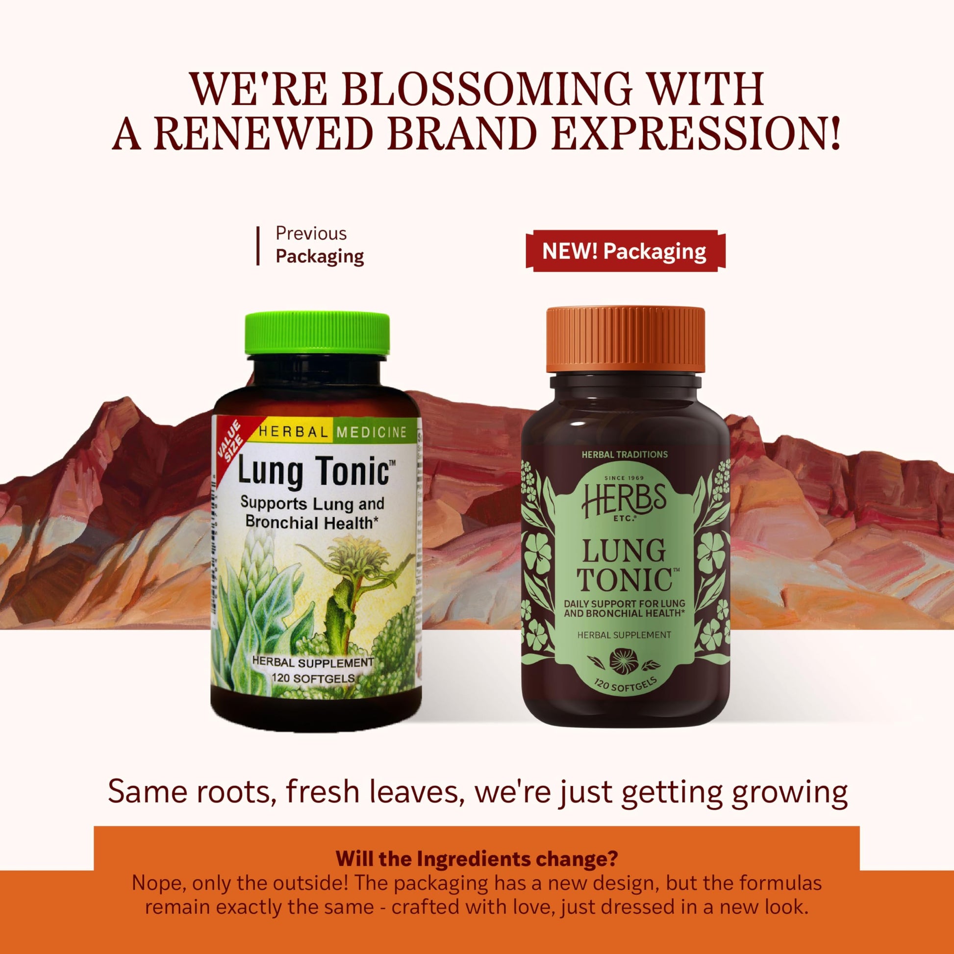 Herbs Etc. Lung Tonic - Lung Supplement for Bronchial Support - Healthy Breathing Support with Mullein, Horehound & Grindelia - 120 Softgels Herbs Etc.Au supplements