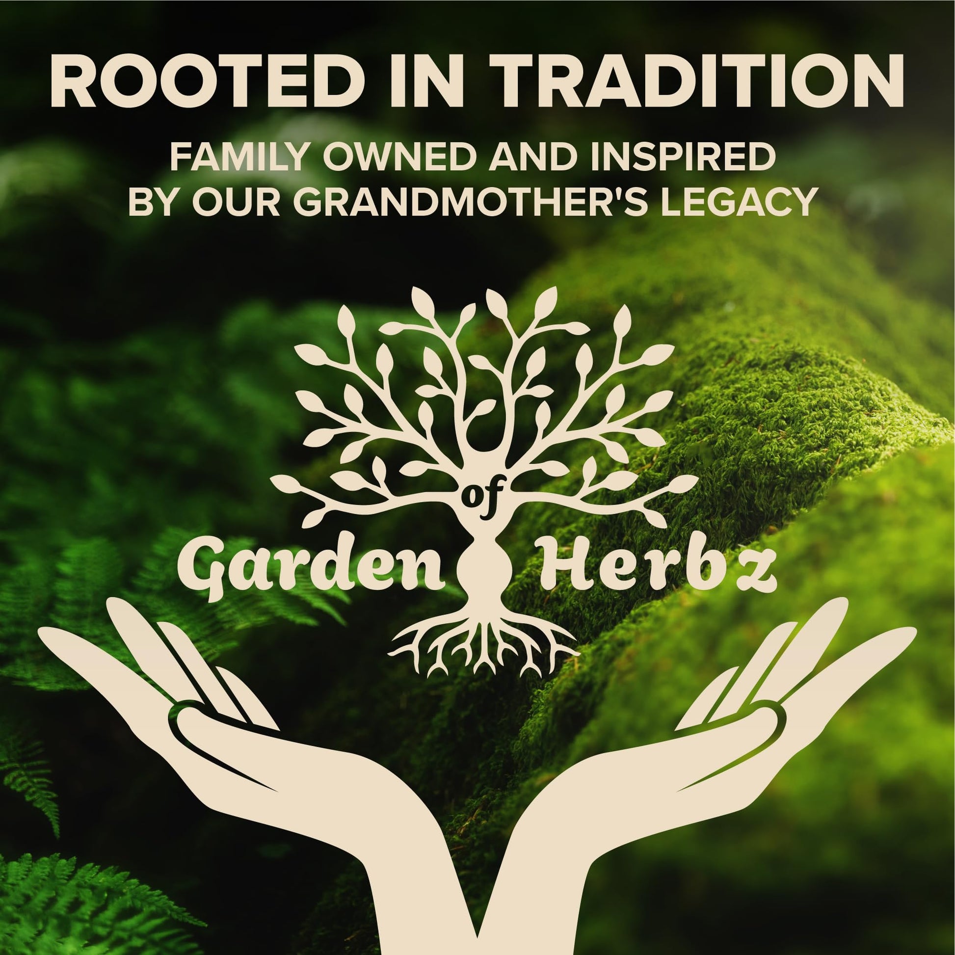 Garden of Herbz Organic Ashwagandha Root & Irish Sea Moss – 3,600 mg Ashwagandha Supplement with Black Seed Oil, & Burdock Root – Herbal Supplement for Energy, Calm, Mood, & Wellness, 120 Caps Garden of HerbzAu supplements
