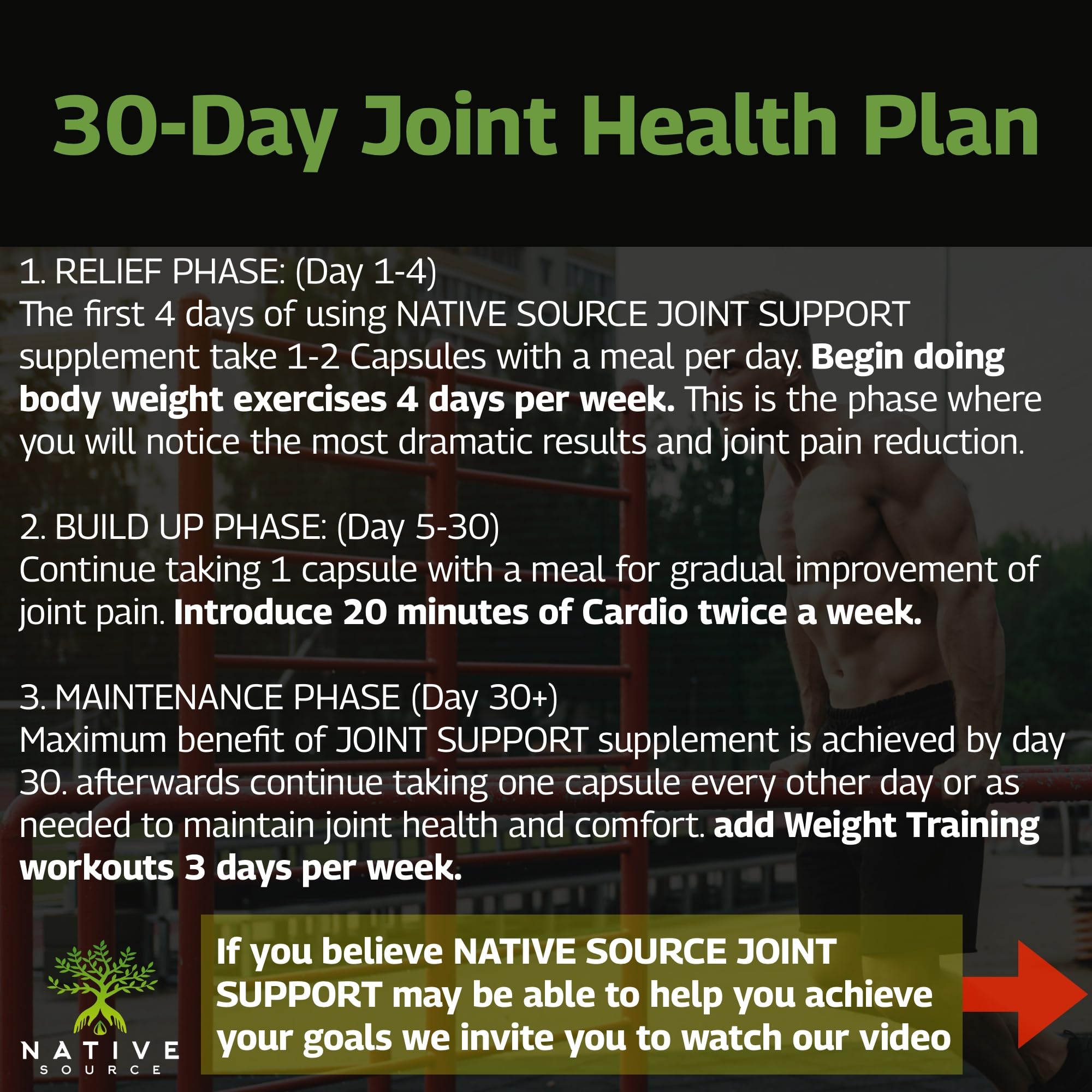 Native Source Joint Support Supplement - Turmeric - Tamarind - Boswellia - Fenugreek Native SourceUS supplements