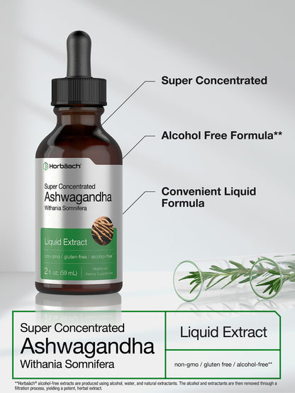 Ashwagandha Root Liquid Extract | 2 fl oz | Alcohol Free Tincture | Vegetarian, Non-GMO, Gluten Free Supplement | by Horbaach HorbäachUS supplements