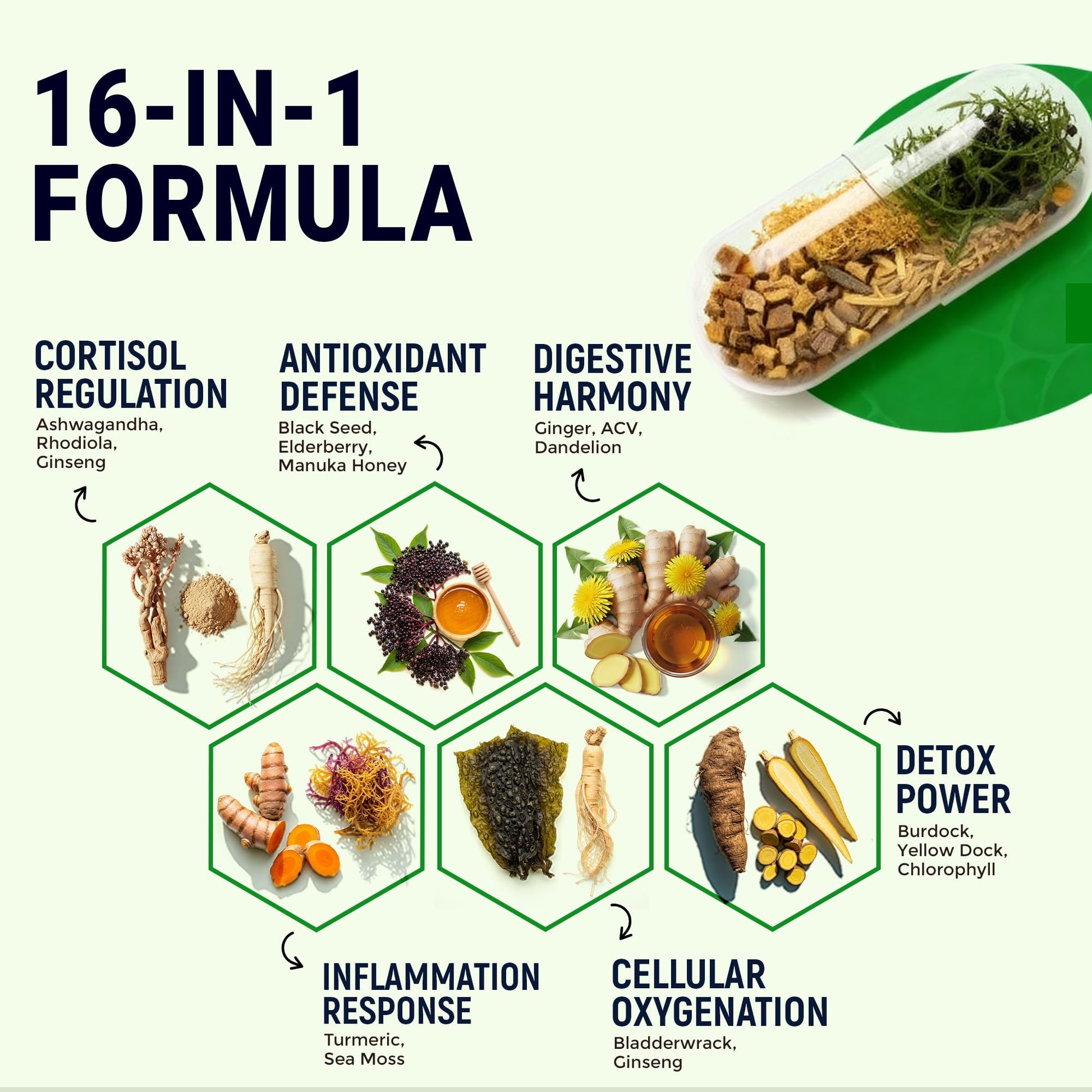 Sea Moss Black Seed Oil Ashwagandha Ginger - Advanced Irish Sea Moss Capsules All in One Supplement with Seamoss Black Seed Oil Ashwagandha Burdock Root Bladderwrack - Pills for Energy, Immune, Gut Opti HealthAu supplements