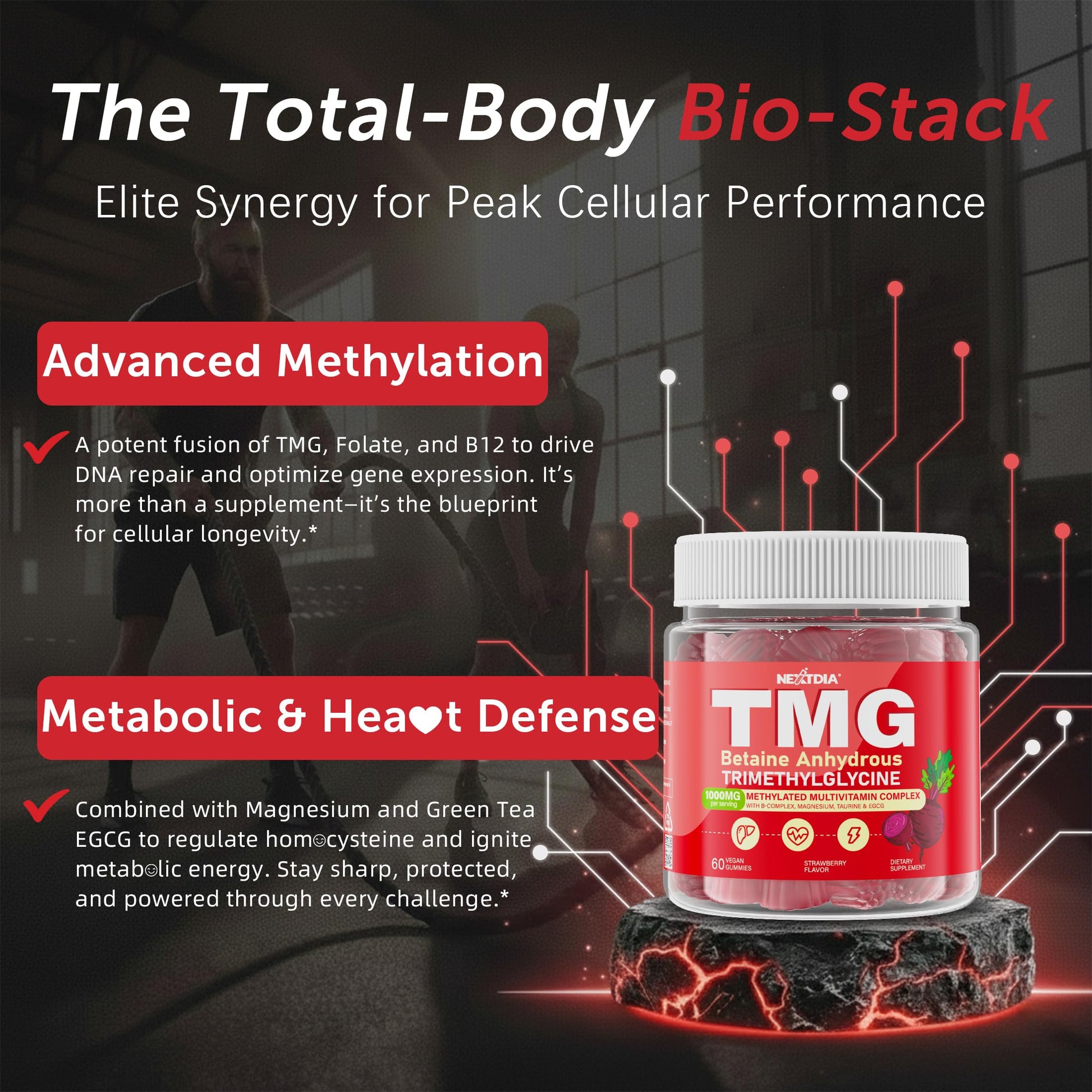 2Pack TMG Gummies 1000mg Betaine Anhydrous + Methylated Multivitamin & B Complex Methylated(Methylfolate B12 B6), Magnesium, Taurine - Essential Trimethylglycine for Homocysteine Levels, Brain, Energy NextdiaAu supplements