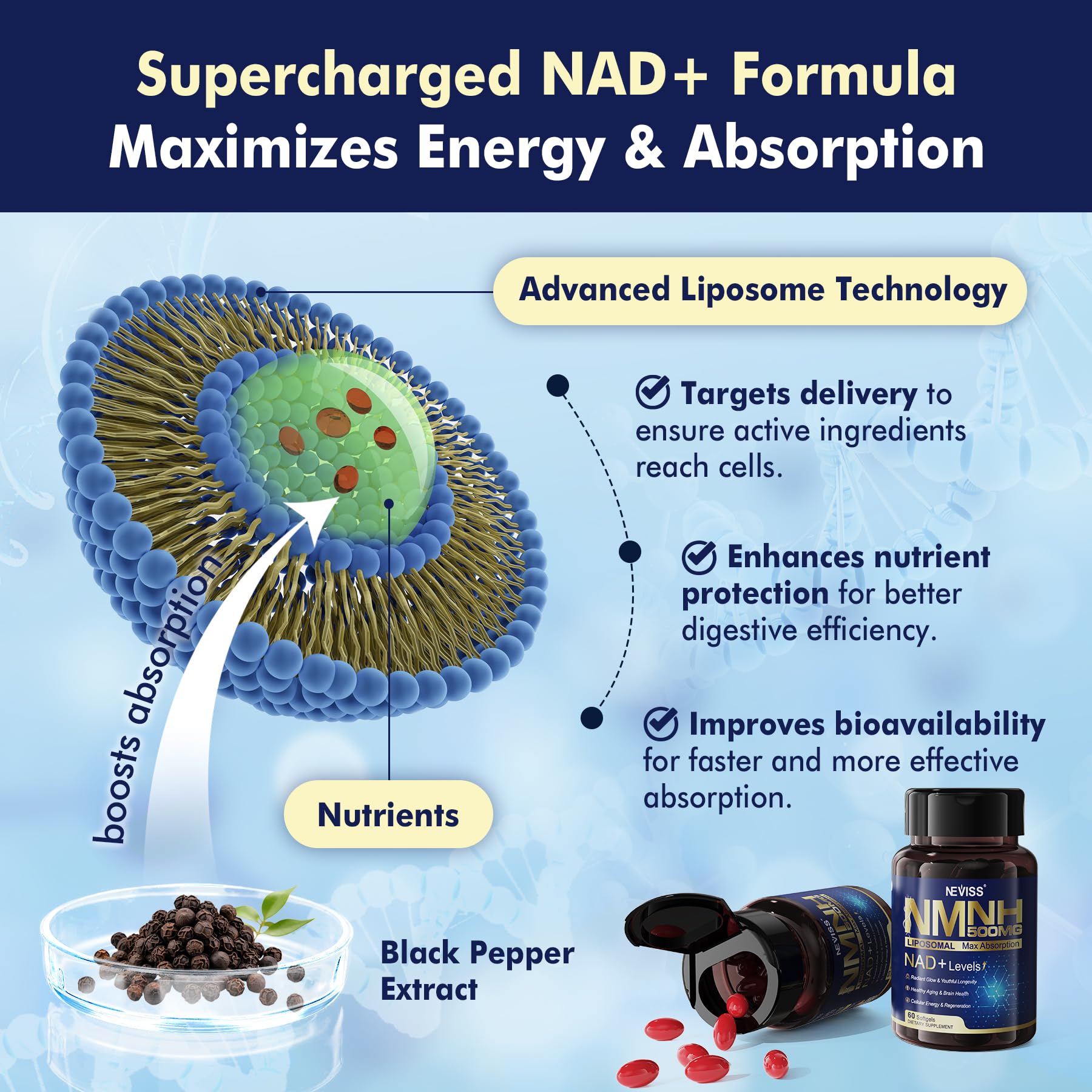 2Pack NAD+ Supplement, Next-Gen NMNH Liposomal 500mg, NR NMN Supplement Alternative, High Absorption NAD+ with Curcumin, Niacinamide for Cellular Energy, DNA Repair, Healthy Aging, 120 Softgels NEVISSAu supplements