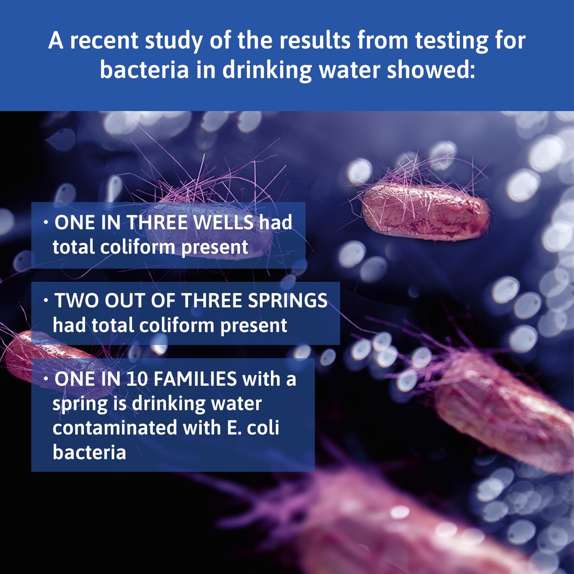 Exploro® Bacteria Water Test Kit, Pond Water Test Kit, Pool Water Testing Kit, Water Testing Kits for Drinking Water for Coliform (E. coli), EPA Approved Pool Test Kit (1 Pack) ExploroAu supplements