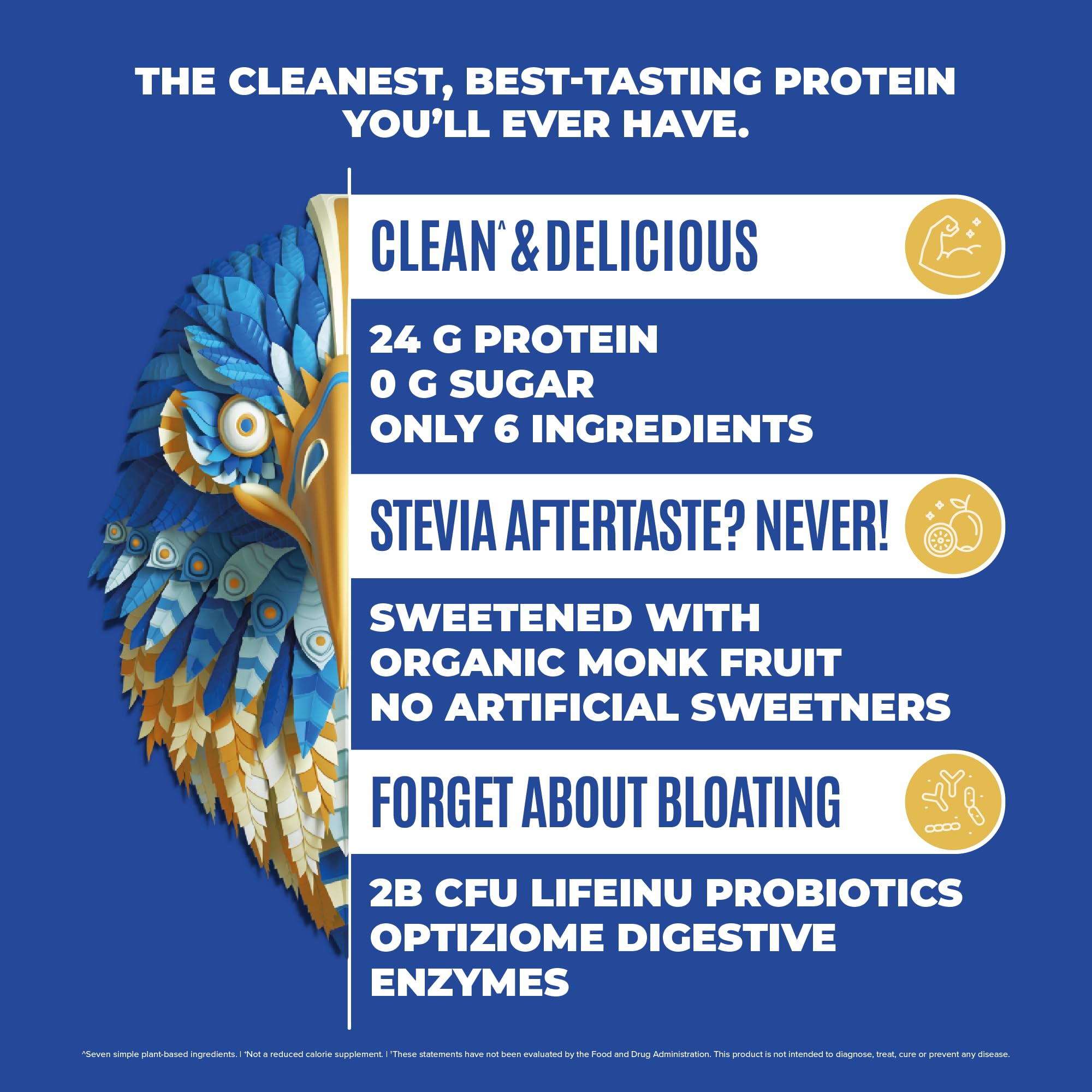 BIRDMAN Falcon Vegan Protein Powder Organic, Stevia & Sugar Free, Plant Based Protein BIRDMANUS supplements
