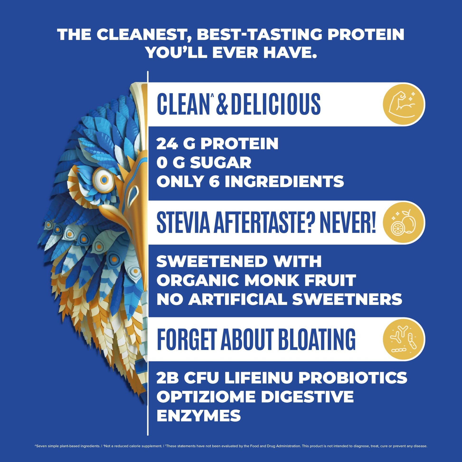 BIRDMAN Falcon Vegan Protein Powder Organic, Stevia & Sugar Free, Plant Based Protein BIRDMANUS supplements