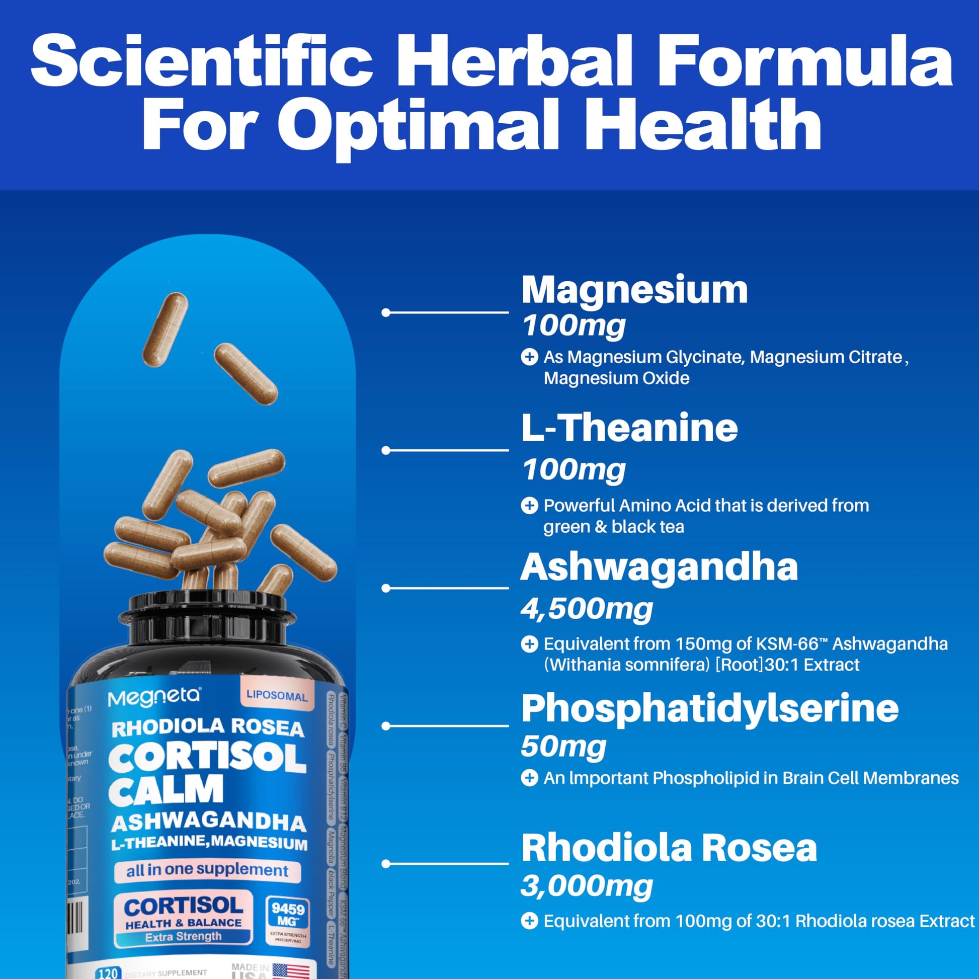 Cortisol Balance & Sleep Support for Women & Men – Natural Calm Formula with Magnesium, Ashwagandha & L-Theanine – Supports Restful Sleep, Relaxation, Focus & Healthy Cortisol Levels – 120 Capsules MEGNETAAu supplements