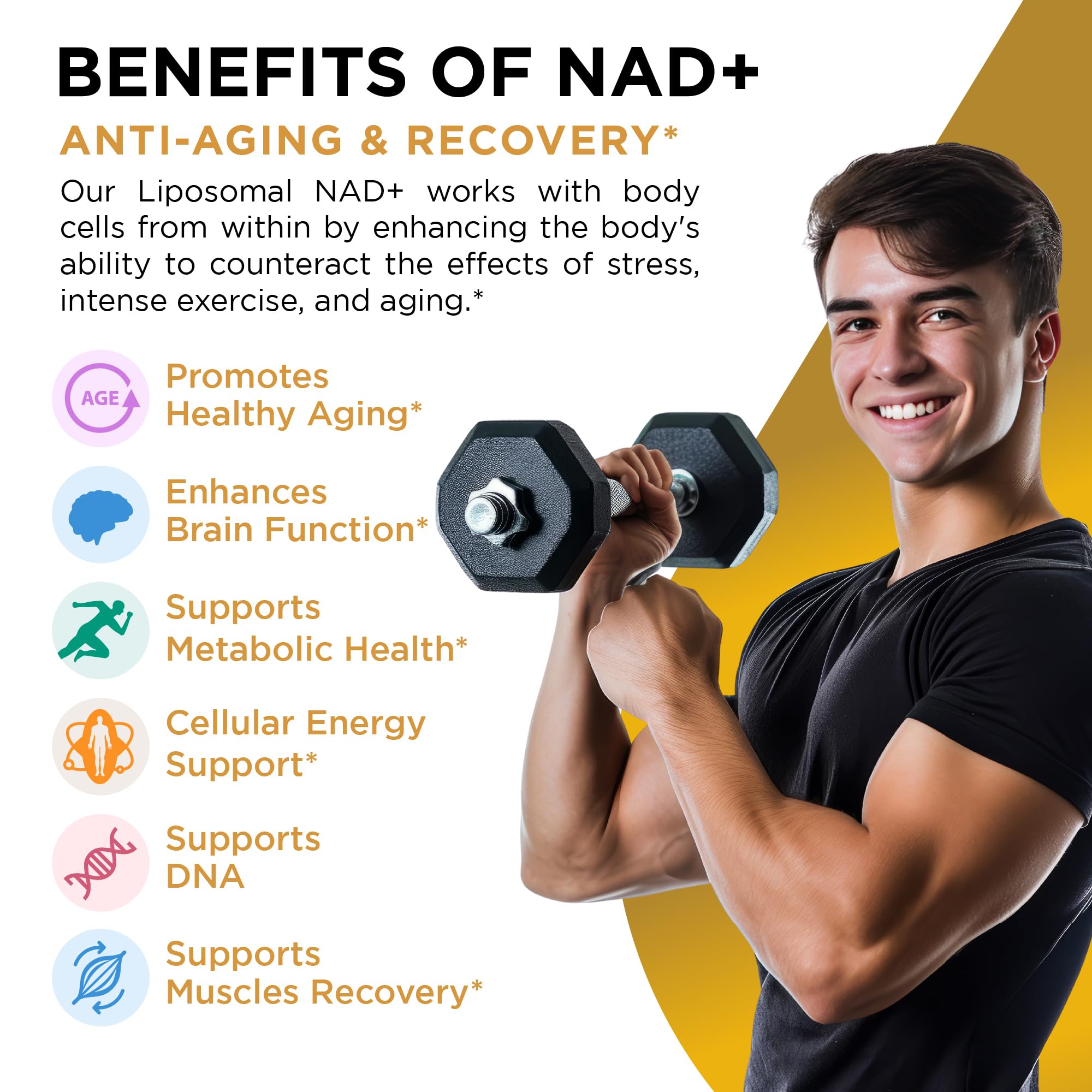 NAD+ Supplement Liposomal Capsules - Max Absorption for Cellular Energy, Healthy Aging, Brain Function & DNA Health - Vegan, Non-GMO, Gluten-Free Supplement - 60 Capsules - Supports NAD Levels AuroraSynthAu supplements
